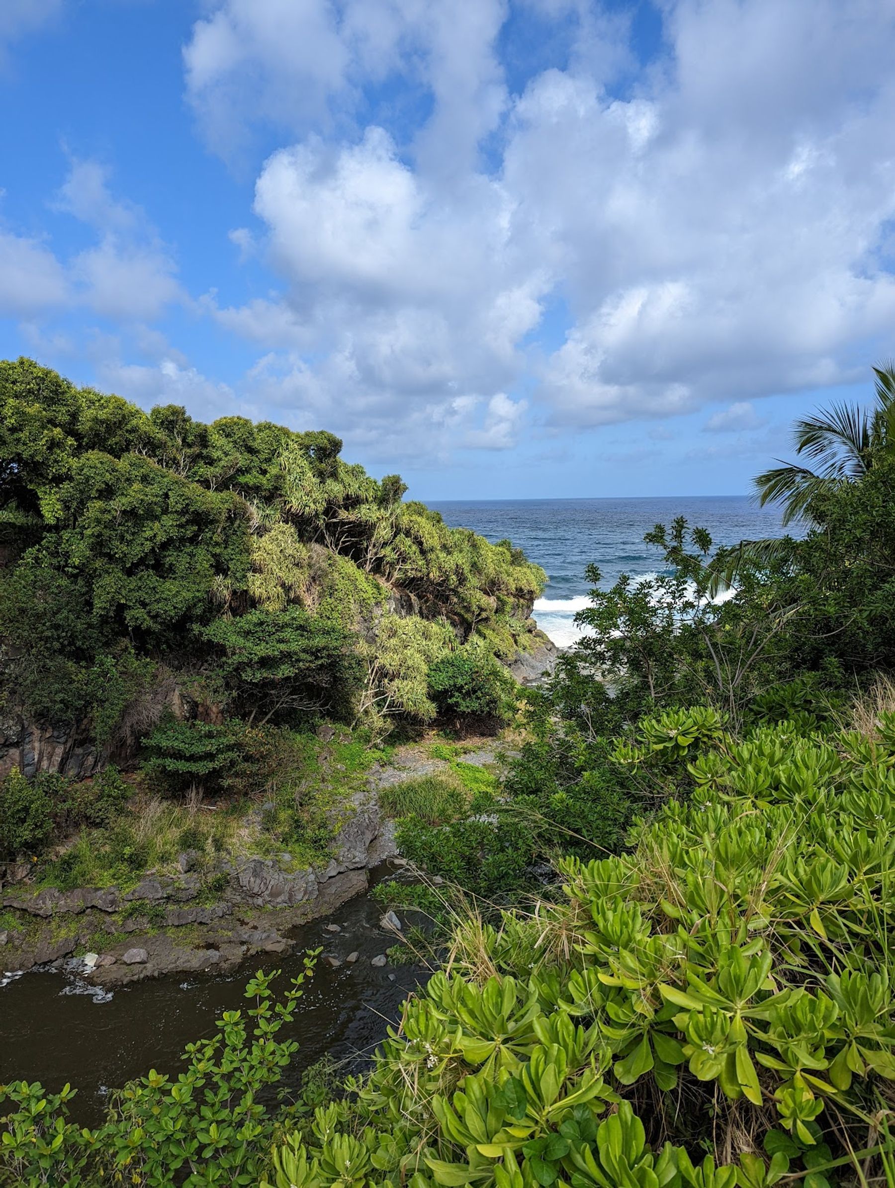 Photo 8 of ʻOheʻo Gulch in Kīpahulu & Kaupō, Maui