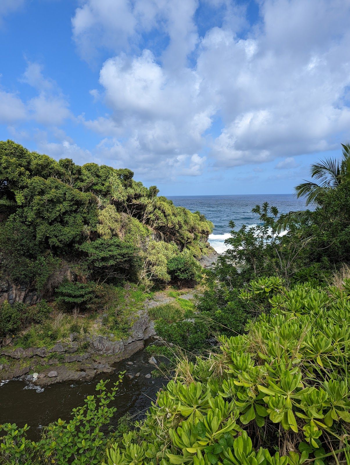 Photo 8 of ʻOheʻo Gulch in Kīpahulu & Kaupō, Maui