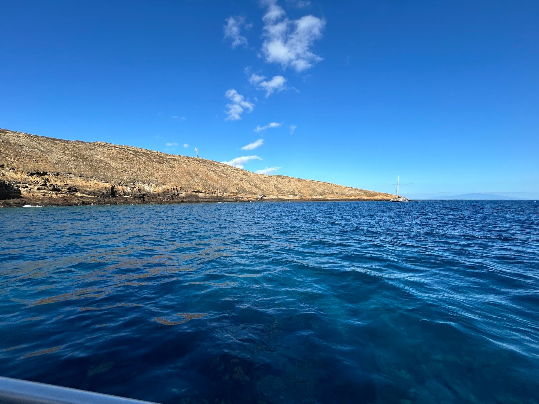 Photo 7 of Maui Magic Molokini Snorkel Tour in Māʻalaea, Maui