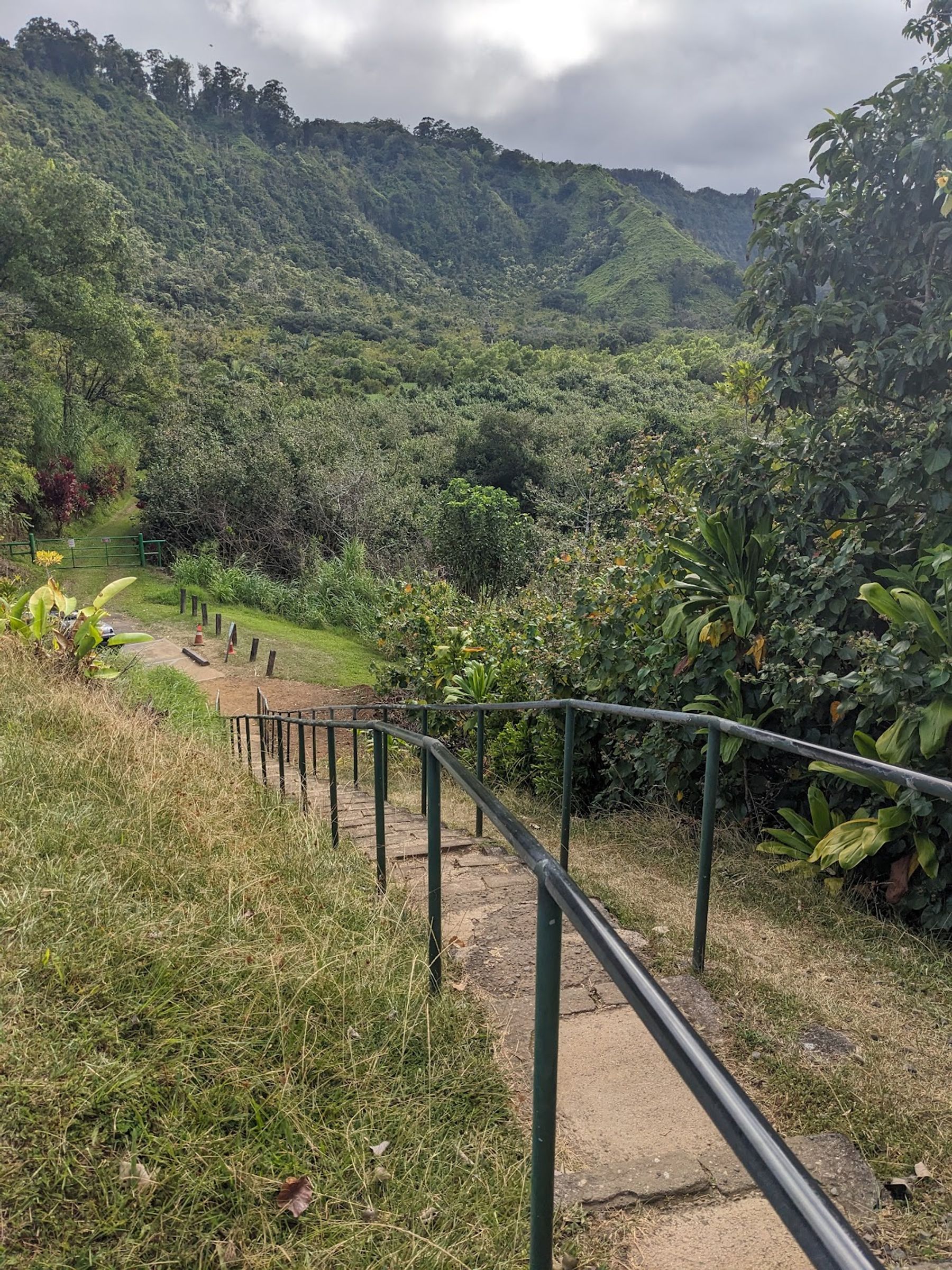 Photo 2 of Wailua Valley State Wayside in Keʻanae-Nāhiku, Maui