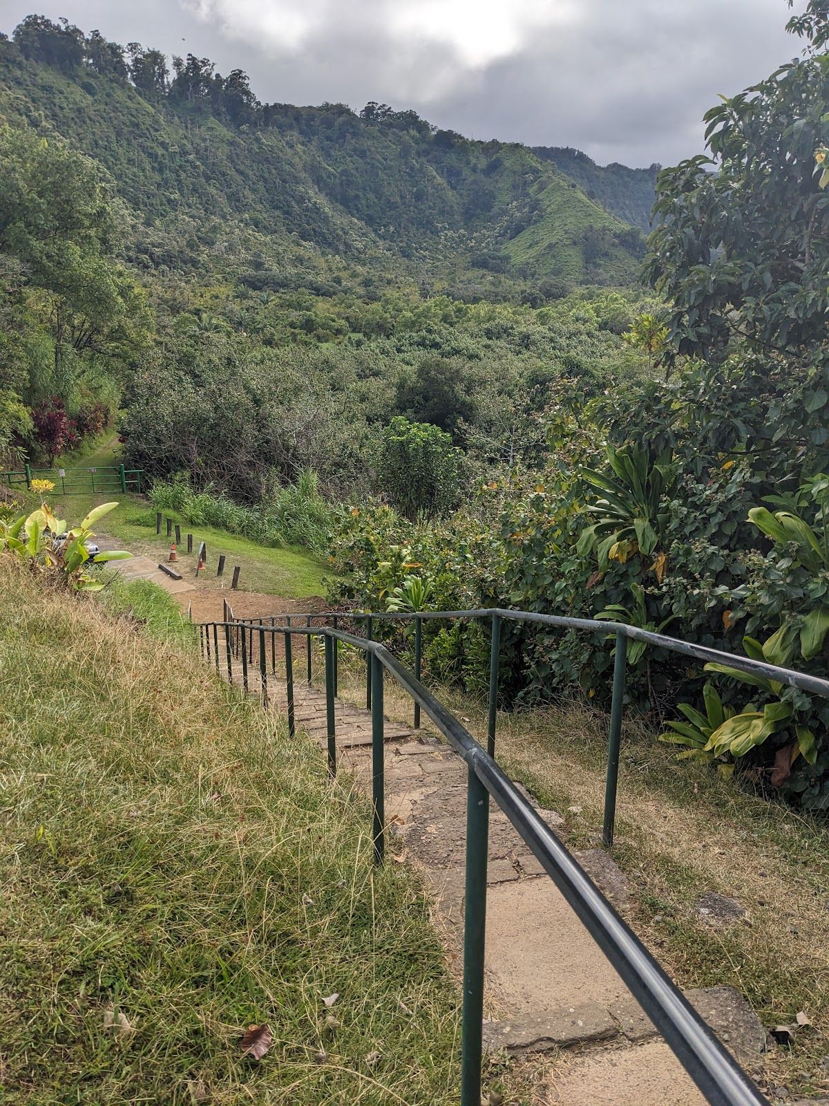 Photo 2 of Wailua Valley State Wayside in Keʻanae-Nāhiku, Maui