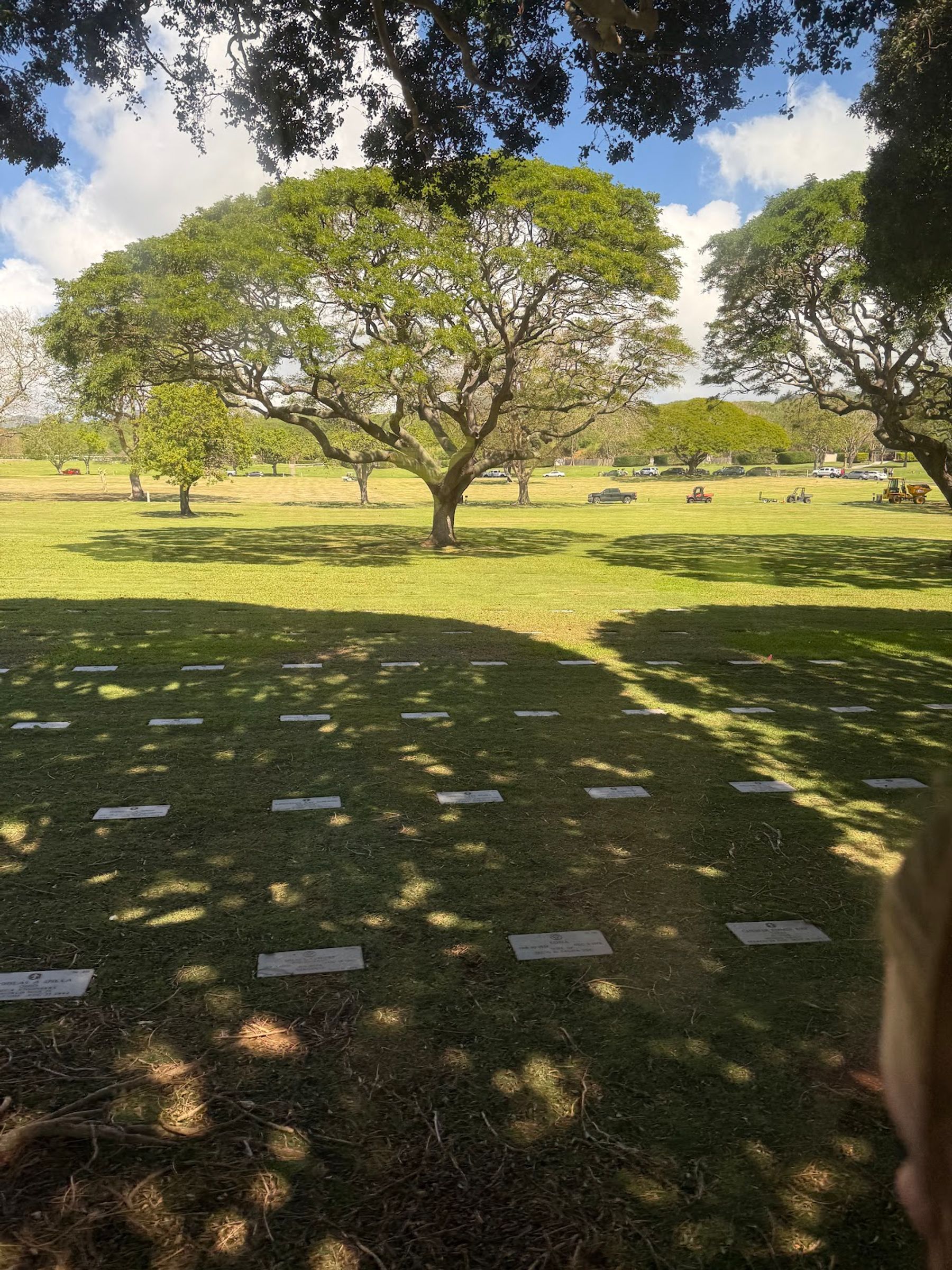 Photo 7 of Polynesian Adventure Tours in Pearl Harbor & ʻAiea, Oahu