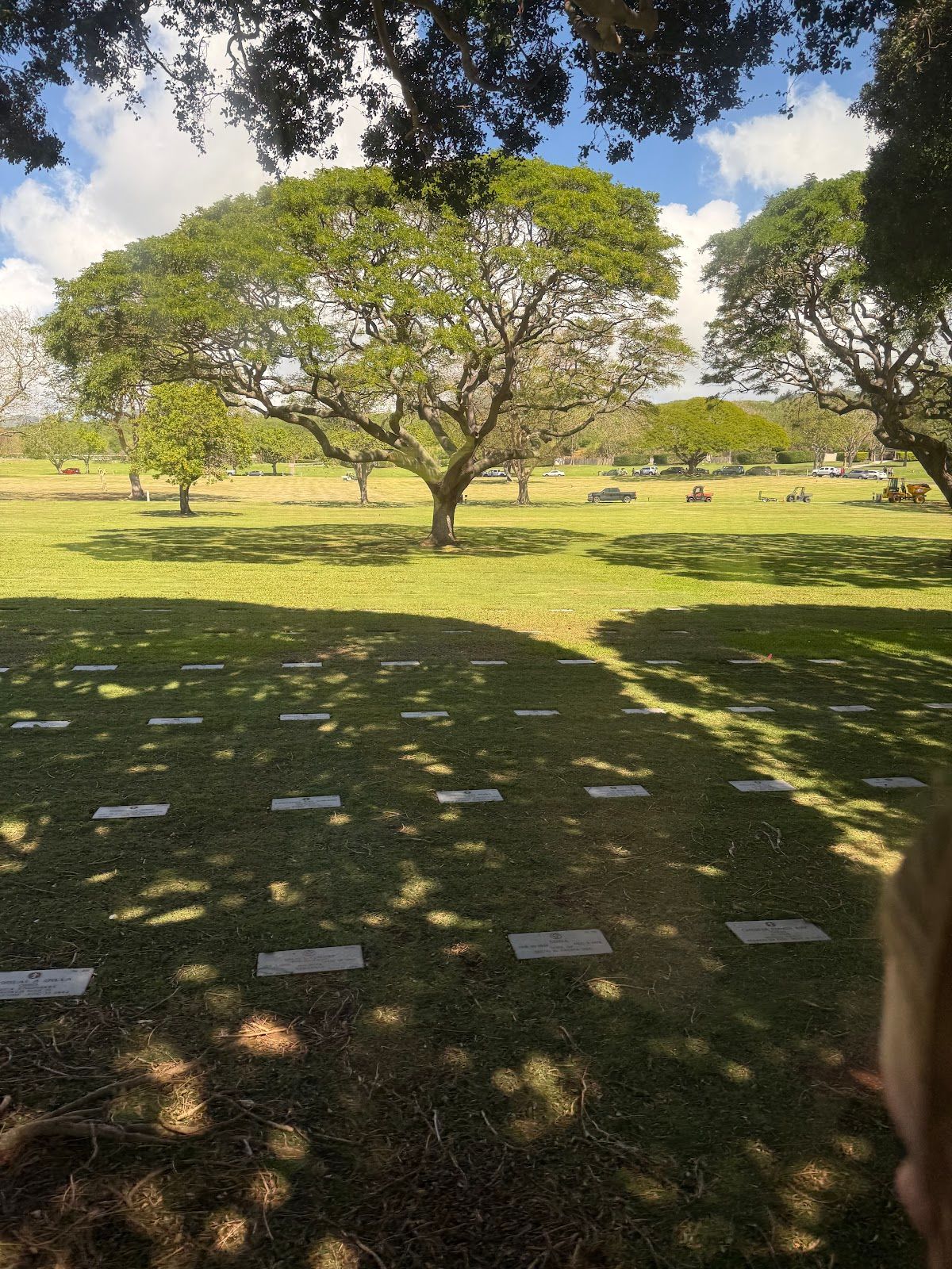Photo 7 of Polynesian Adventure Tours in Pearl Harbor & ʻAiea, Oahu
