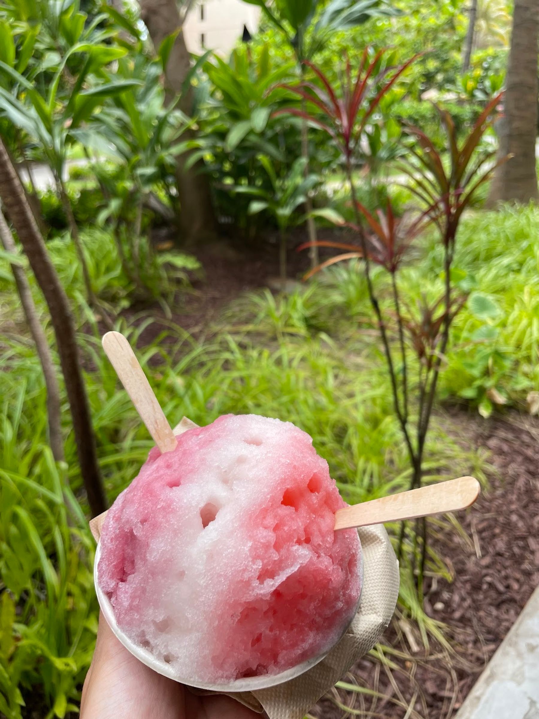 Photo 2 of Big Wave Shave Ice Company - Nanea in Kāʻanapali, Maui