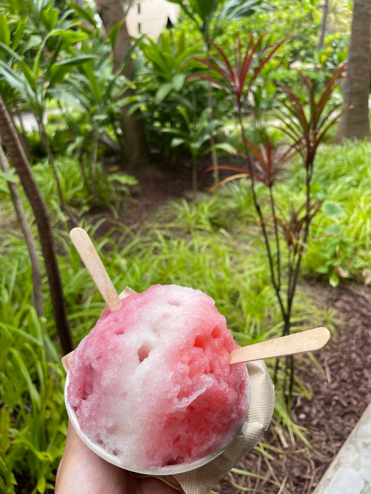 Photo 2 of Big Wave Shave Ice Company - Nanea in Kāʻanapali, Maui
