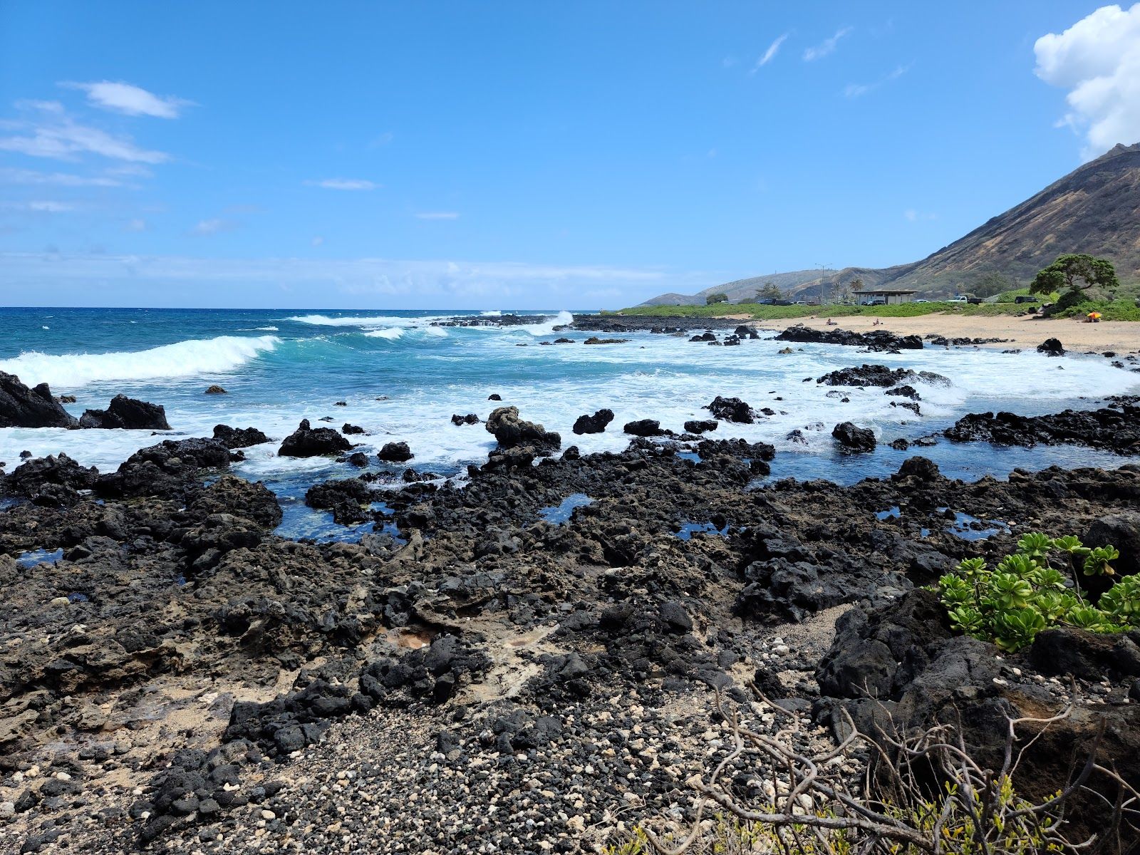 Photo 6 of Wawamalu Beach in Hawaiʻi Kai & East Honolulu, Oahu
