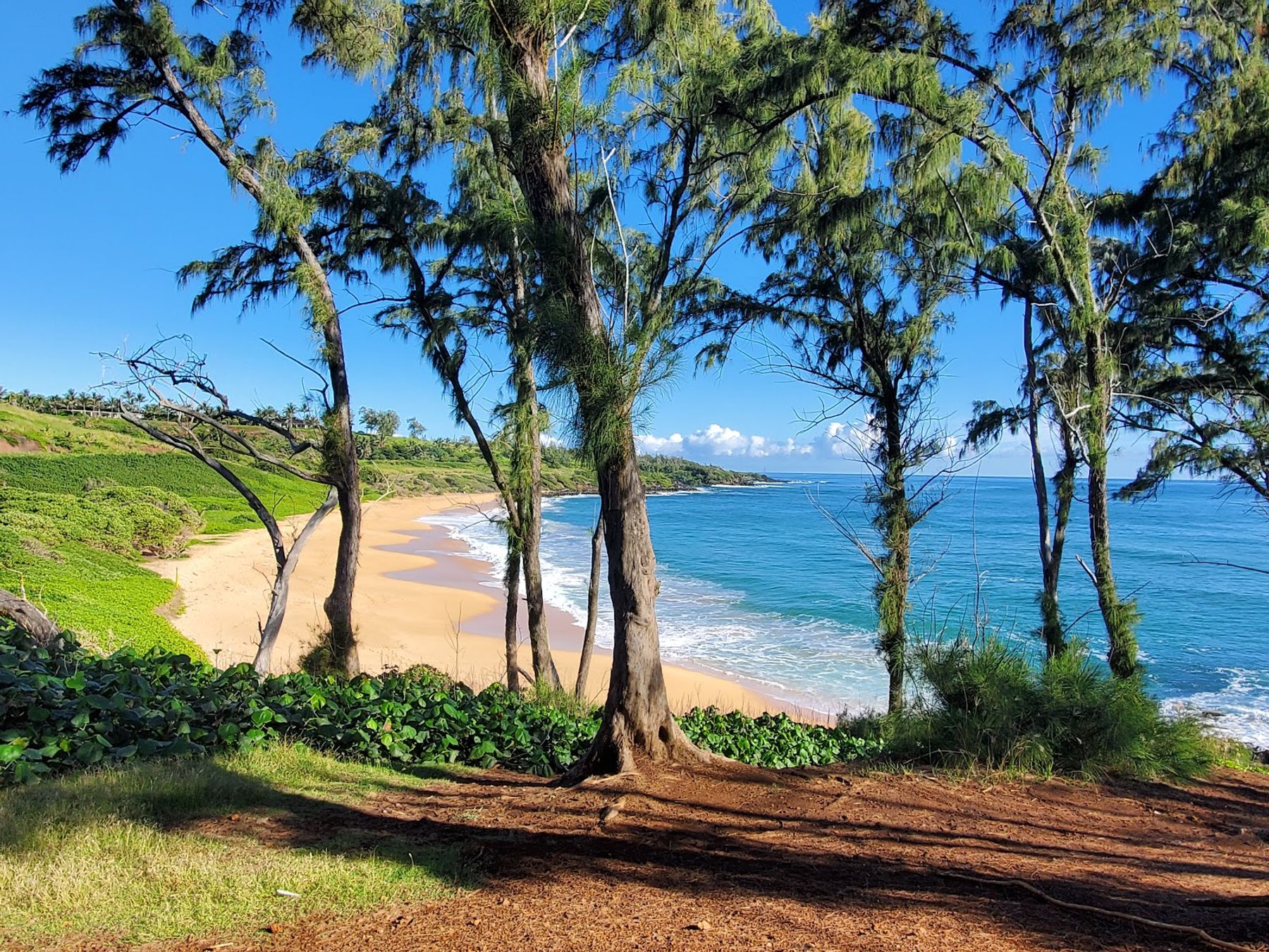 Paliku Beach (Donkey Beach) in Kapaʻa, Kaua‘i photo 4