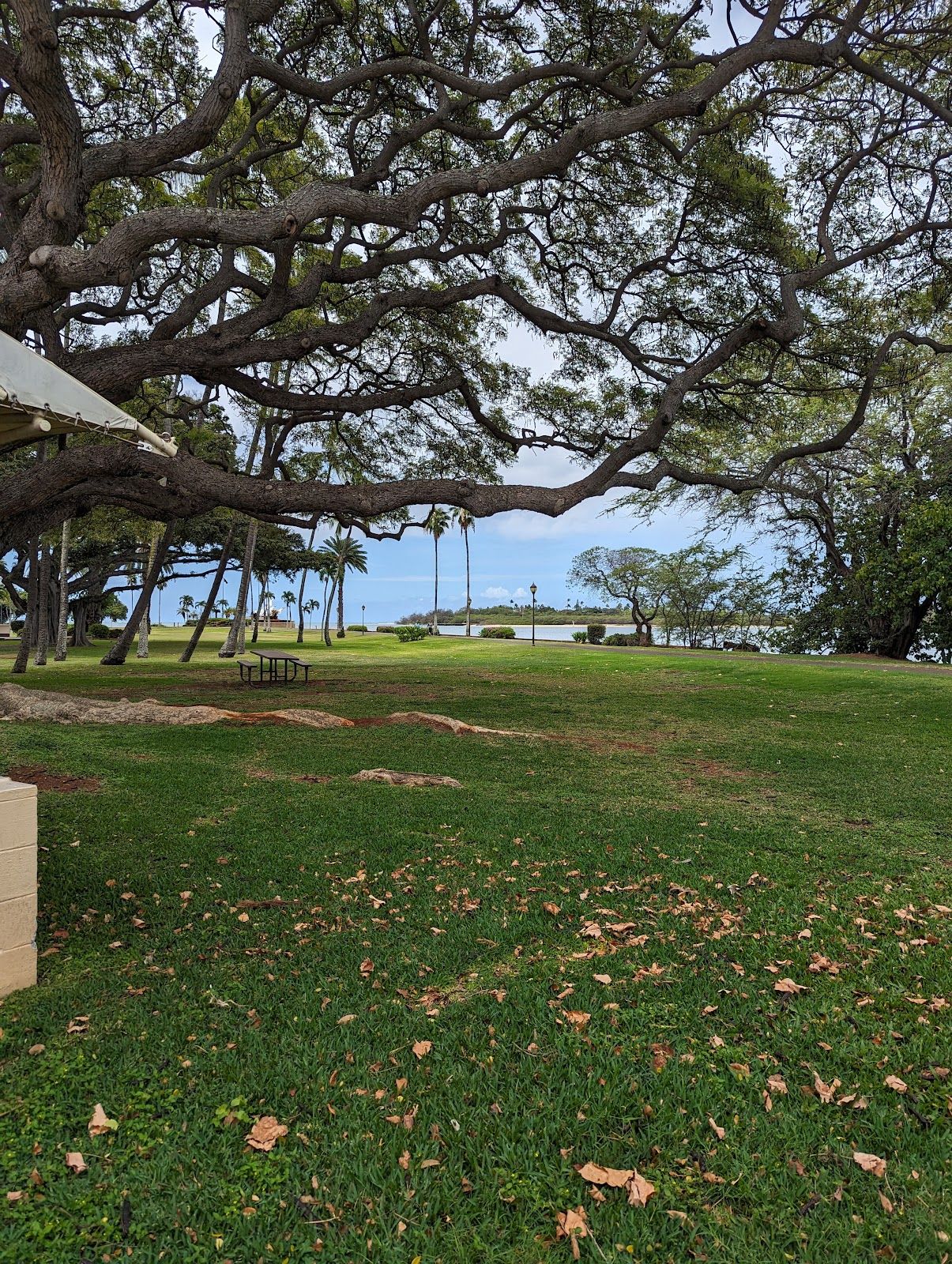 Photo 9 of Wright Brothers Café & Grille in Pearl Harbor & ʻAiea, Oahu