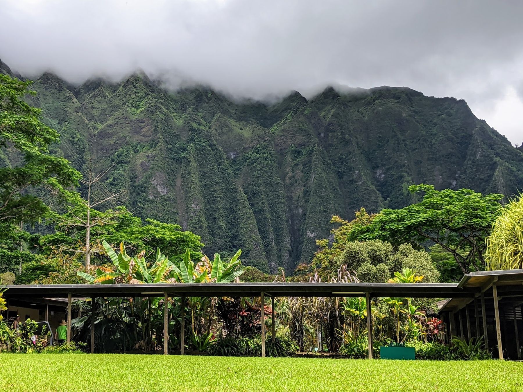 Photo 6 of Hoʻomaluhia Botanical Garden in Kāneʻohe, Oahu