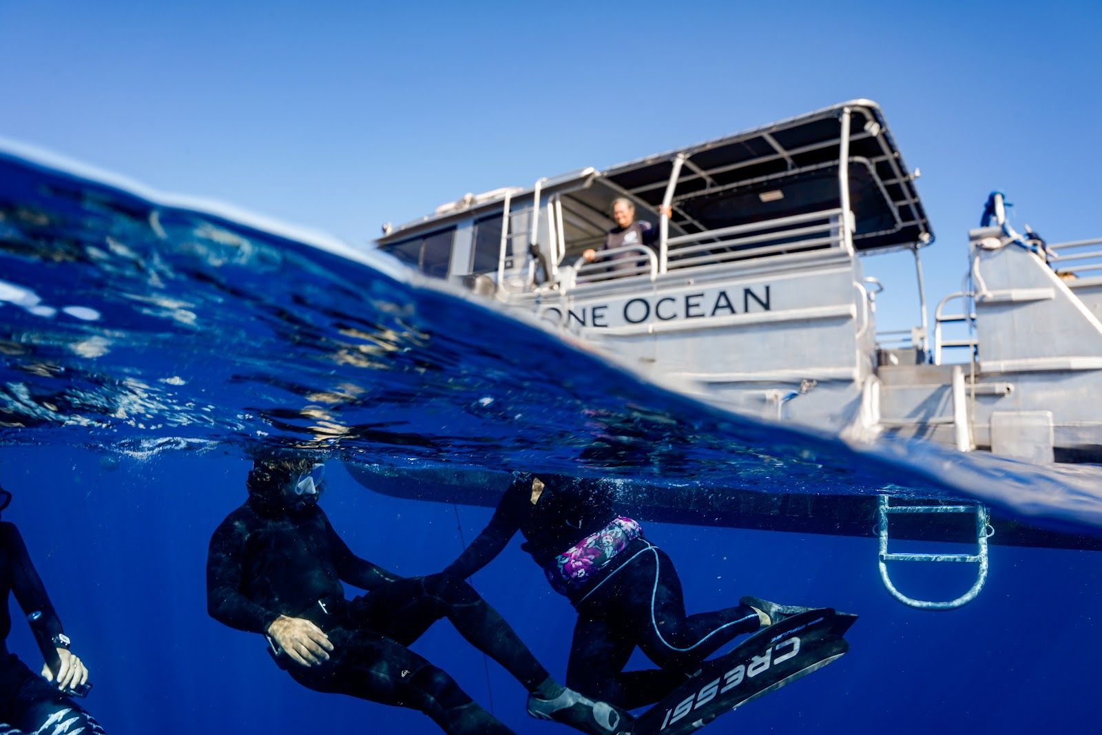 Photo 7 of One Ocean Diving in Haleʻiwa, Oahu
