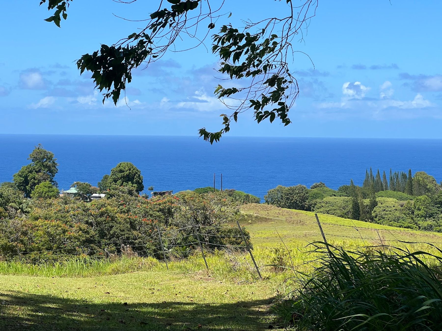 Photo 6 of Hawaii Zipline & Hiking Tours in Greater Hilo, Big Island