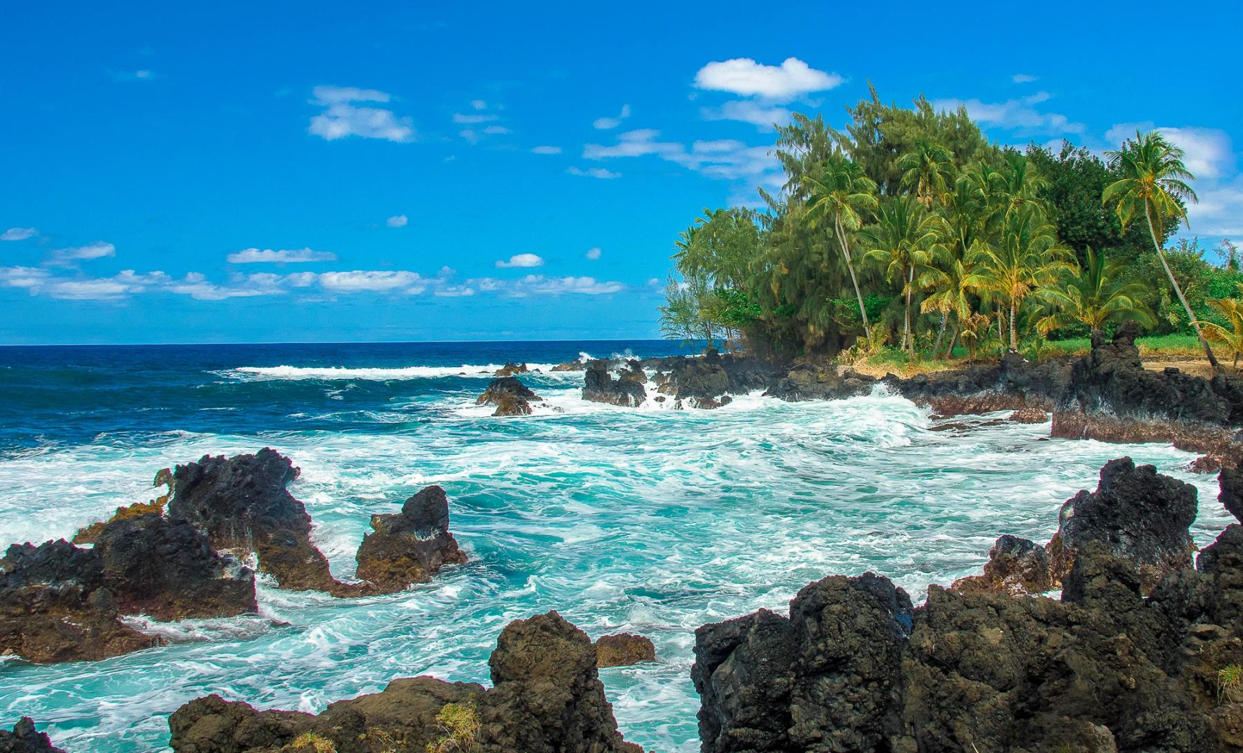 Waves crash against black lava rocks below palm trees on the Keʻanae-Nāhiku coast in East Maui under a blue sky with scattered clouds.
