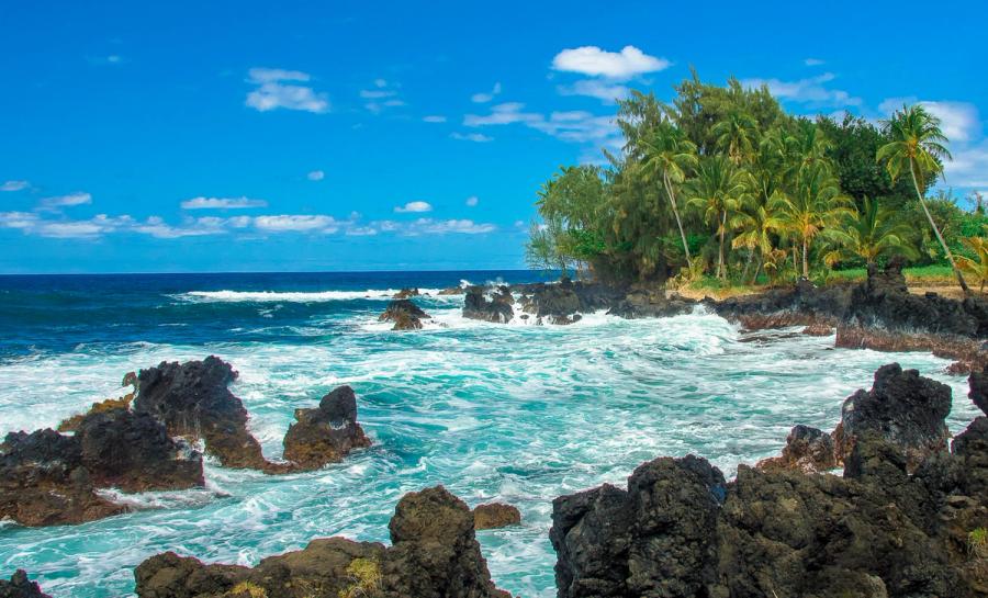 Waves crash against black lava rocks below palm trees on the Keʻanae-Nāhiku coast in East Maui under a blue sky with scattered clouds.