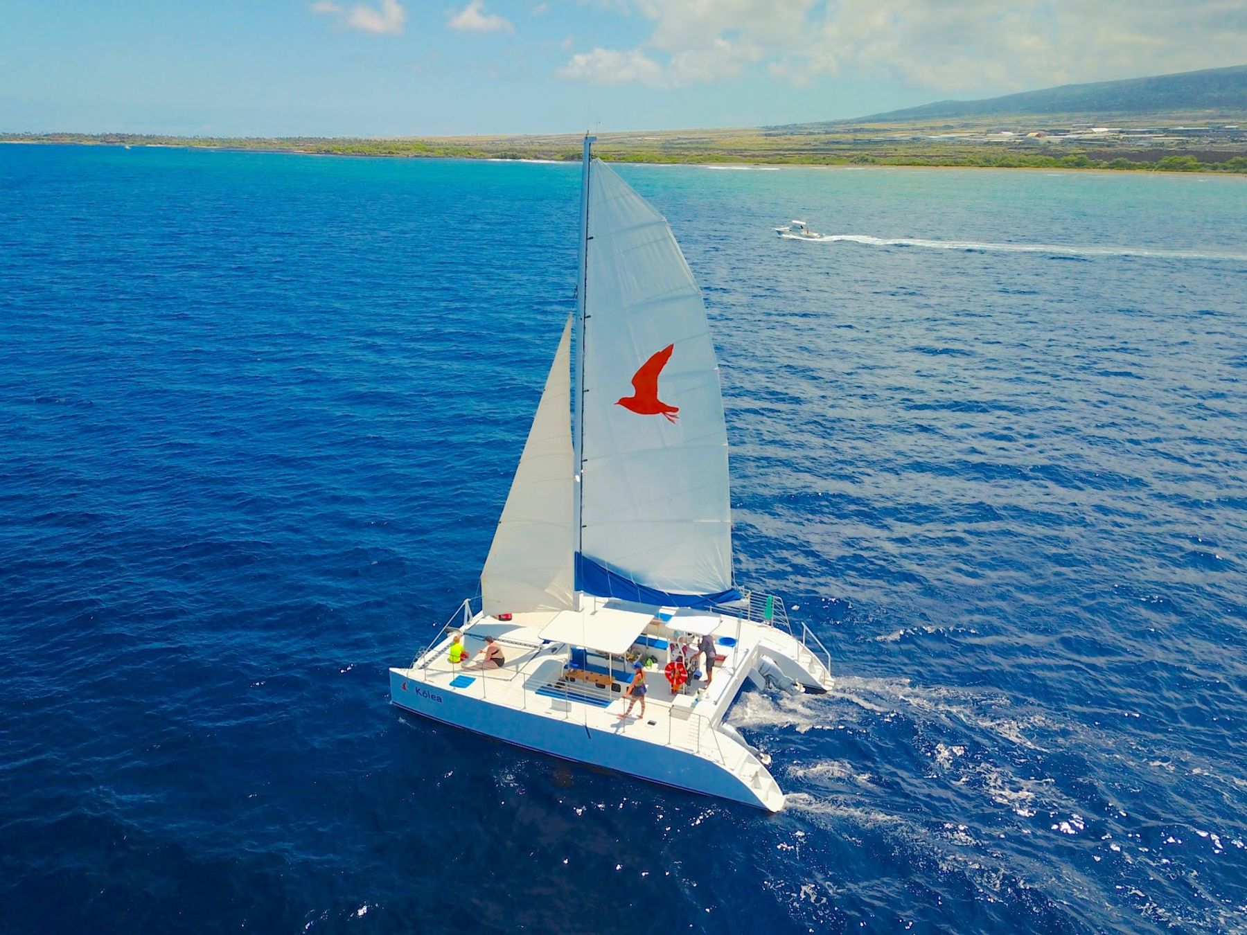 Photo 2 of Paradise Sailing Hawai‘i in Kailua-Kona, Big Island