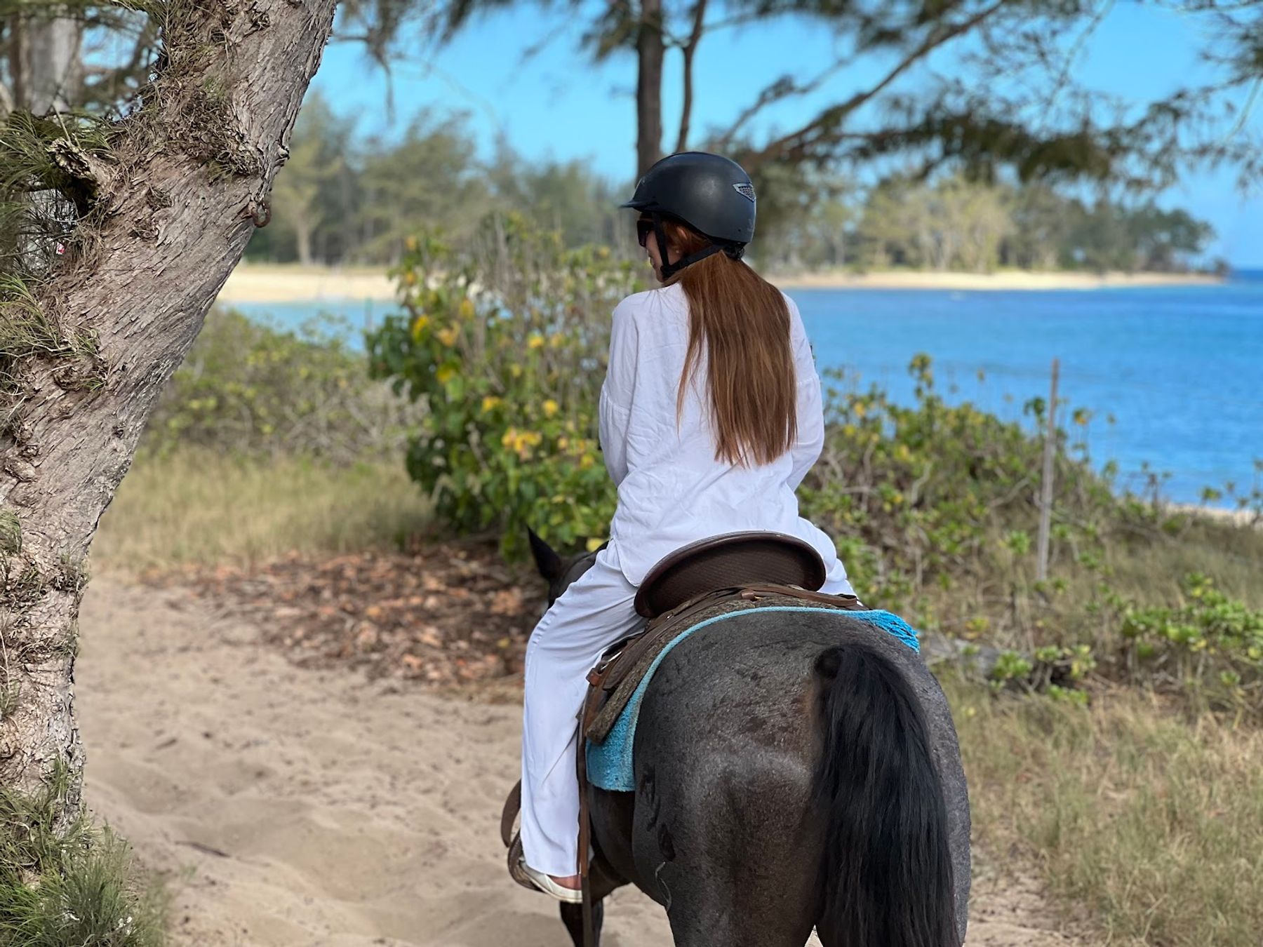 Photo 2 of Hawaii Polo Oceanfront Trail Rides in Waialua & Mokulēʻia, Oahu