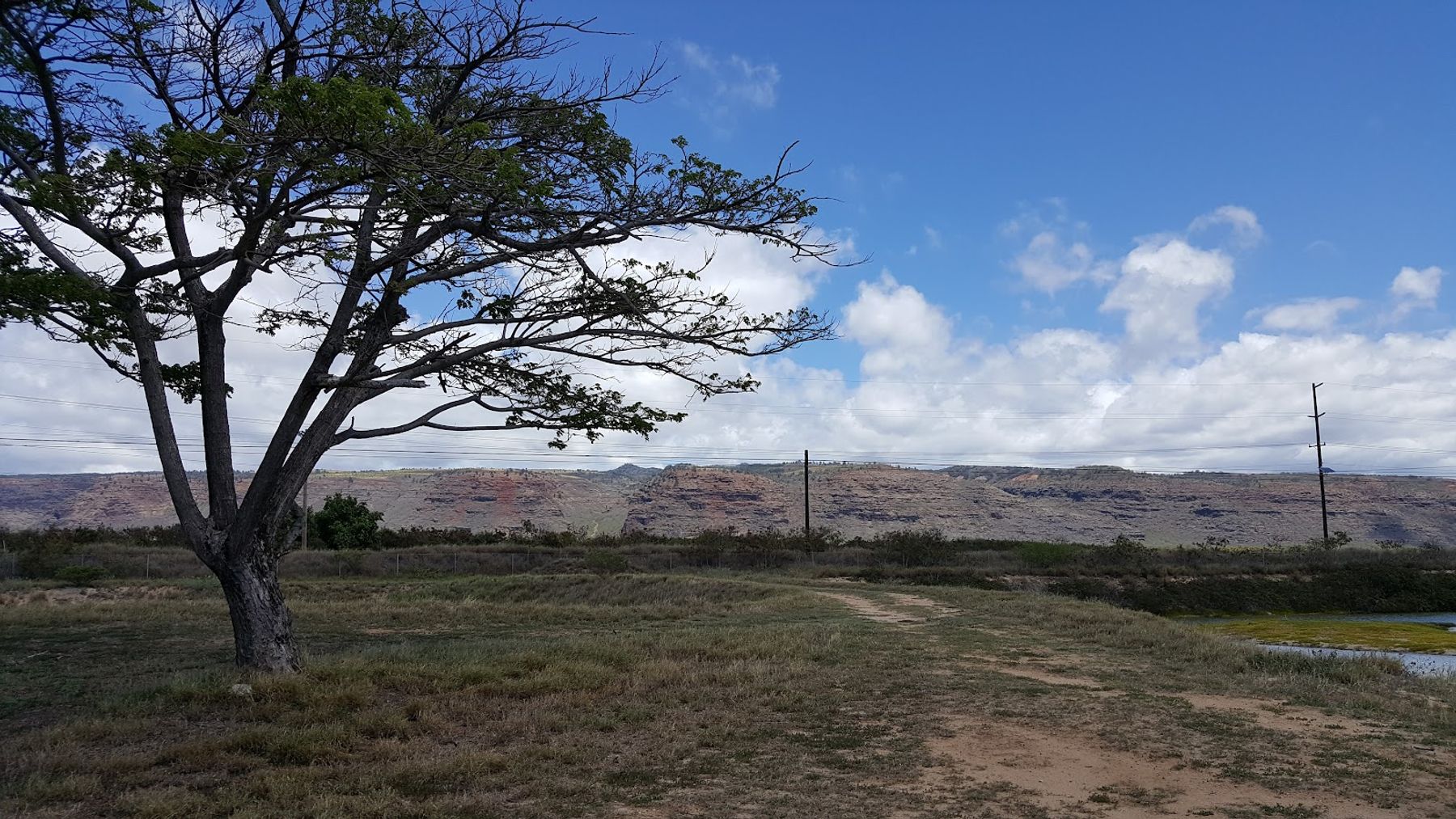 Kawaiʻele Waterbird Sanctuary in Kekaha, Kaua‘i photo 8