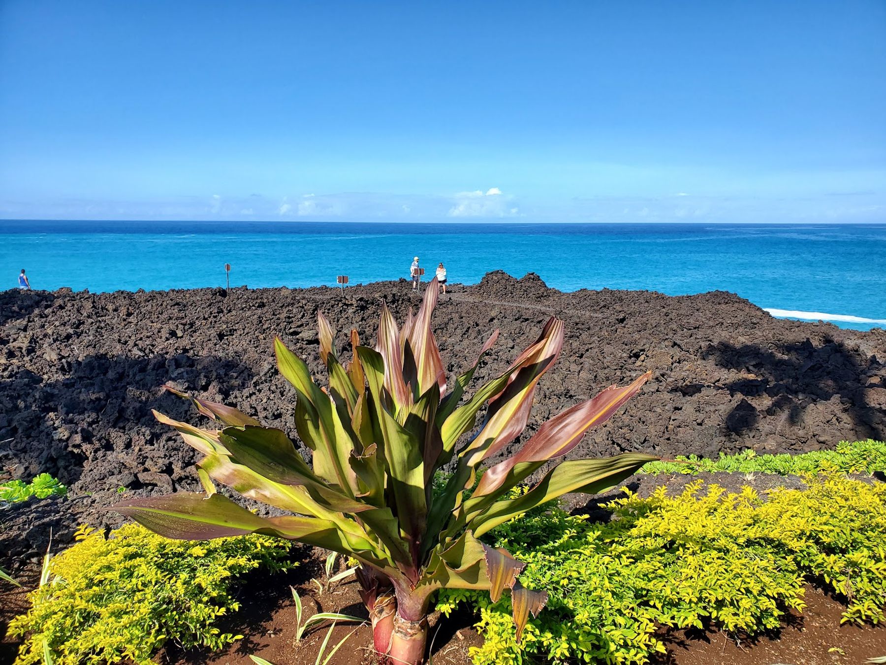 Photo 9 of Ocean Club Restaurant- Private Club in Waikoloa, Big Island