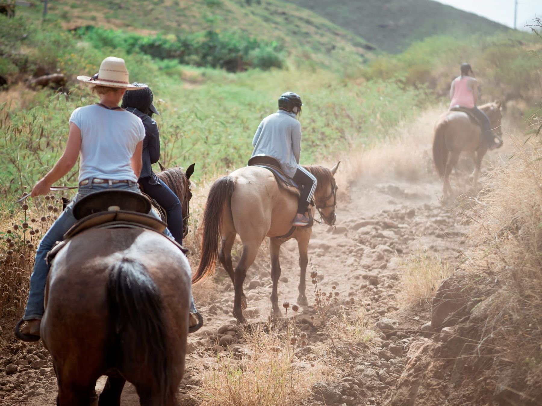 Photo 1 of Lahaina Stables in Lāhainā, Maui
