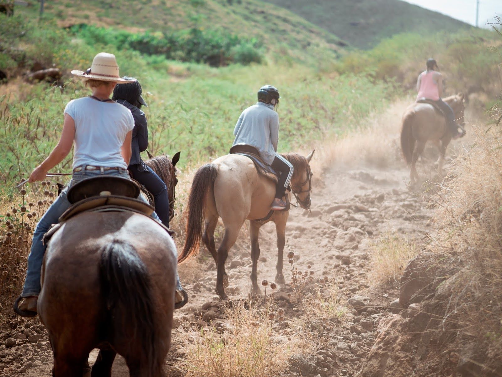 Photo 1 of Lahaina Stables in Lāhainā, Maui