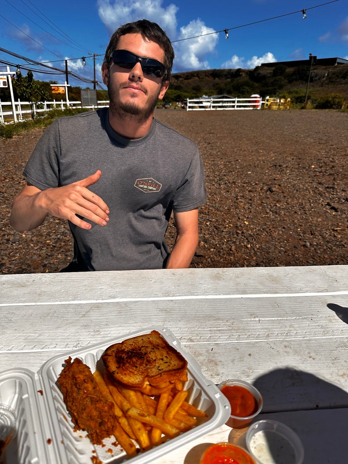 Photo 10 of Chick-N-Dips in Kahuku & Turtle Bay, Oahu