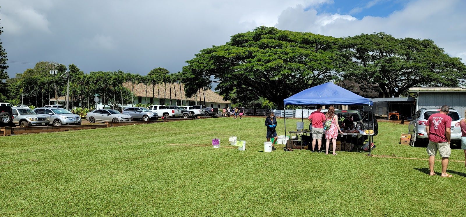 Kauai Community Market in Lihue, Kaua‘i