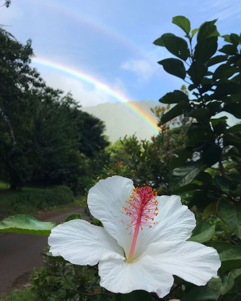 Photo 1 of Lyon Arboretum in Mānoa, Makiki & Nuʻuanu, Oahu