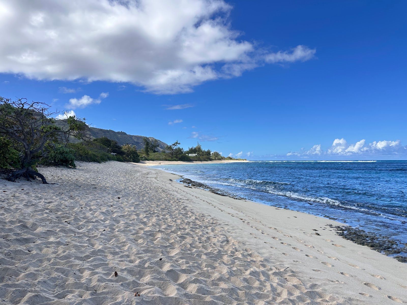 Photo 3 of Mokulēʻia Beach Park in Waialua & Mokulēʻia, Oahu