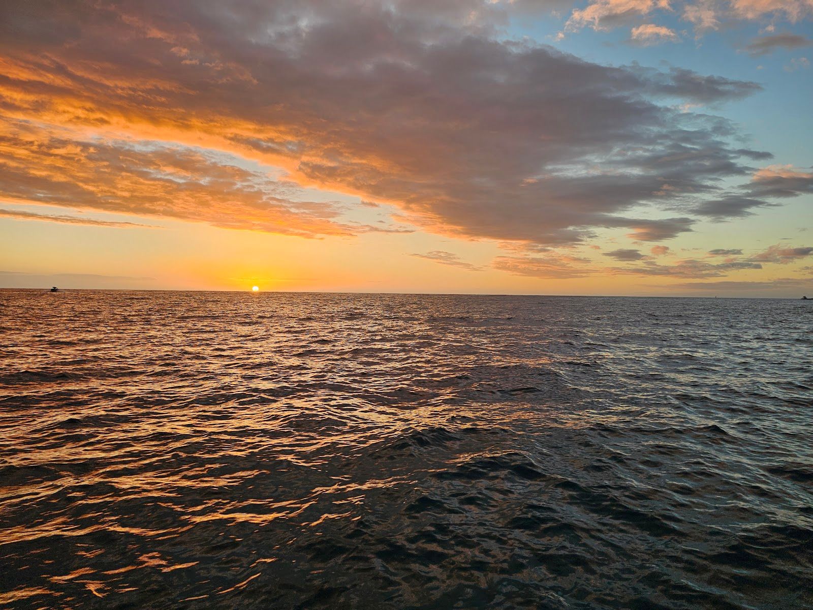 Photo 3 of Manta Adventures Inc. in Kailua-Kona, Big Island