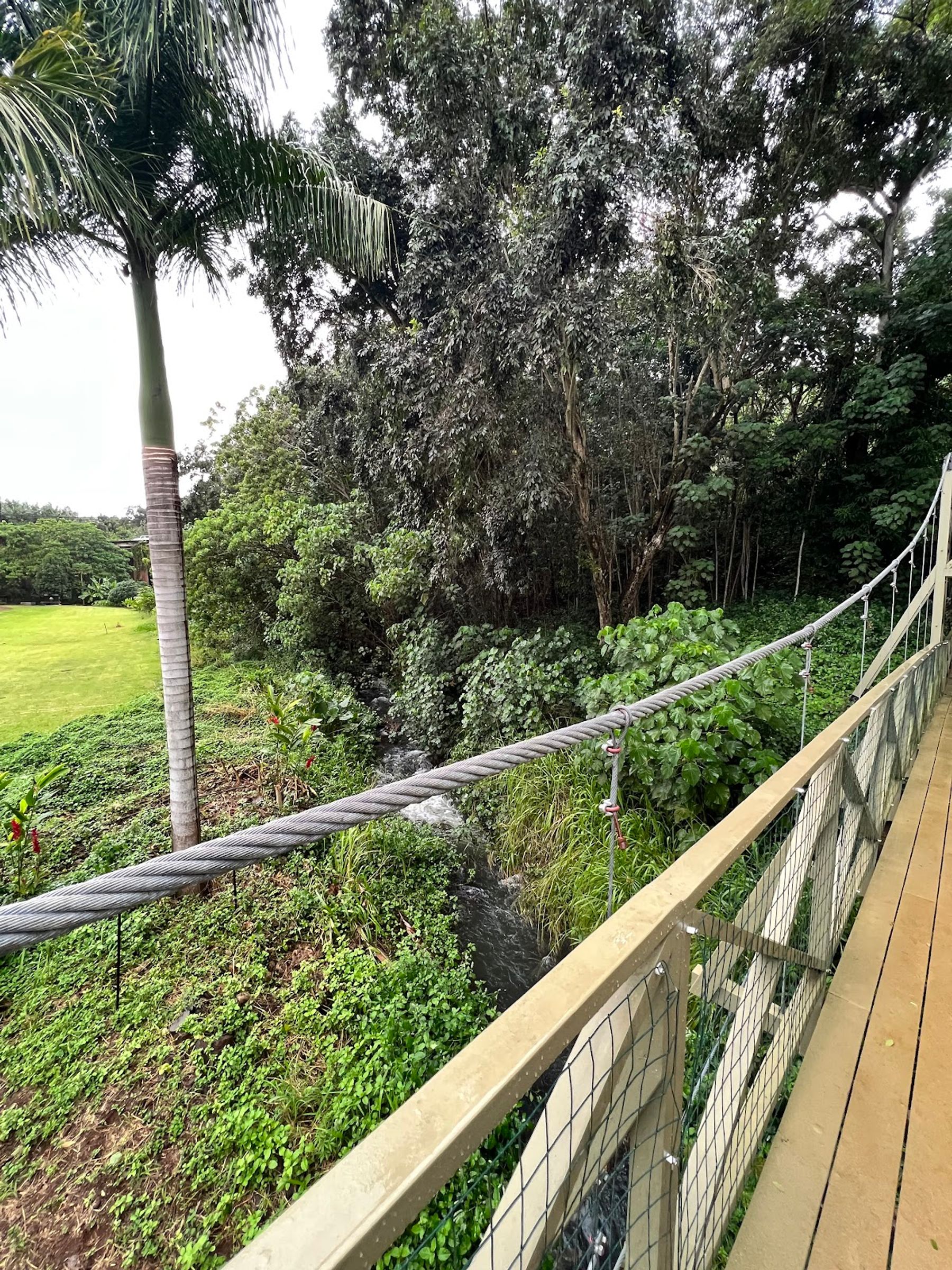 Photo 10 of Kapaia Swinging Bridge in Līhuʻe, Kauai