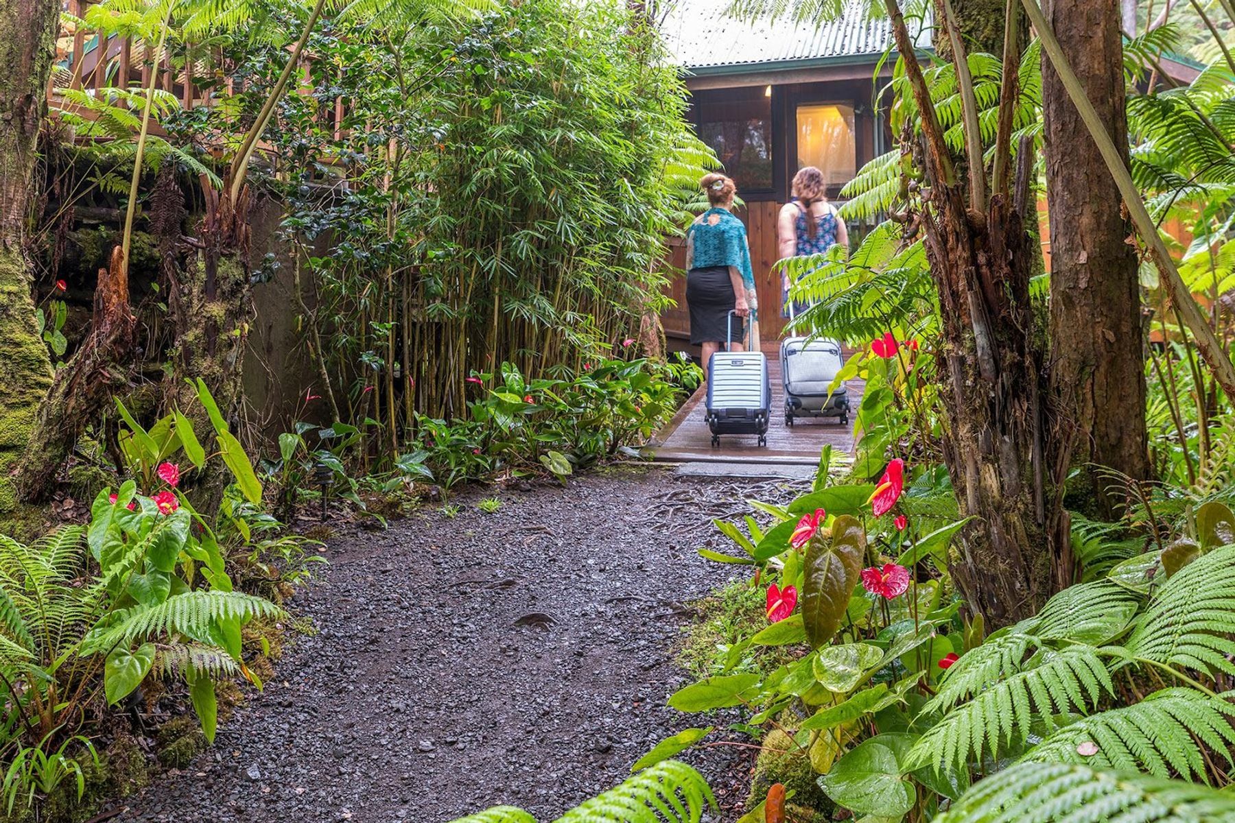 Photo 5 of Volcano Village Lodge in Volcano, Big-island