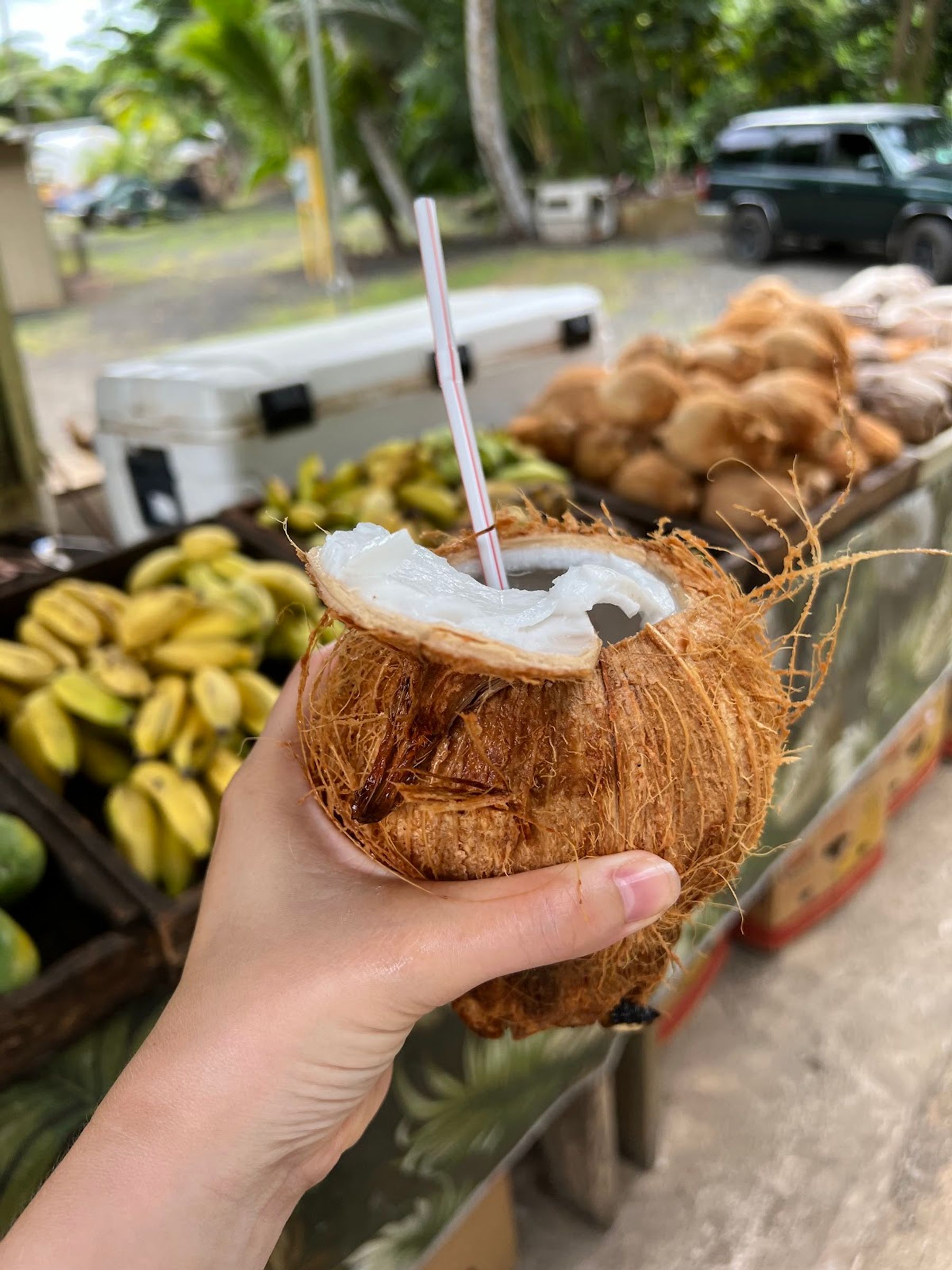 Photo 5 of Kualoa Coconut Man in Kualoa & North Windward, Oahu