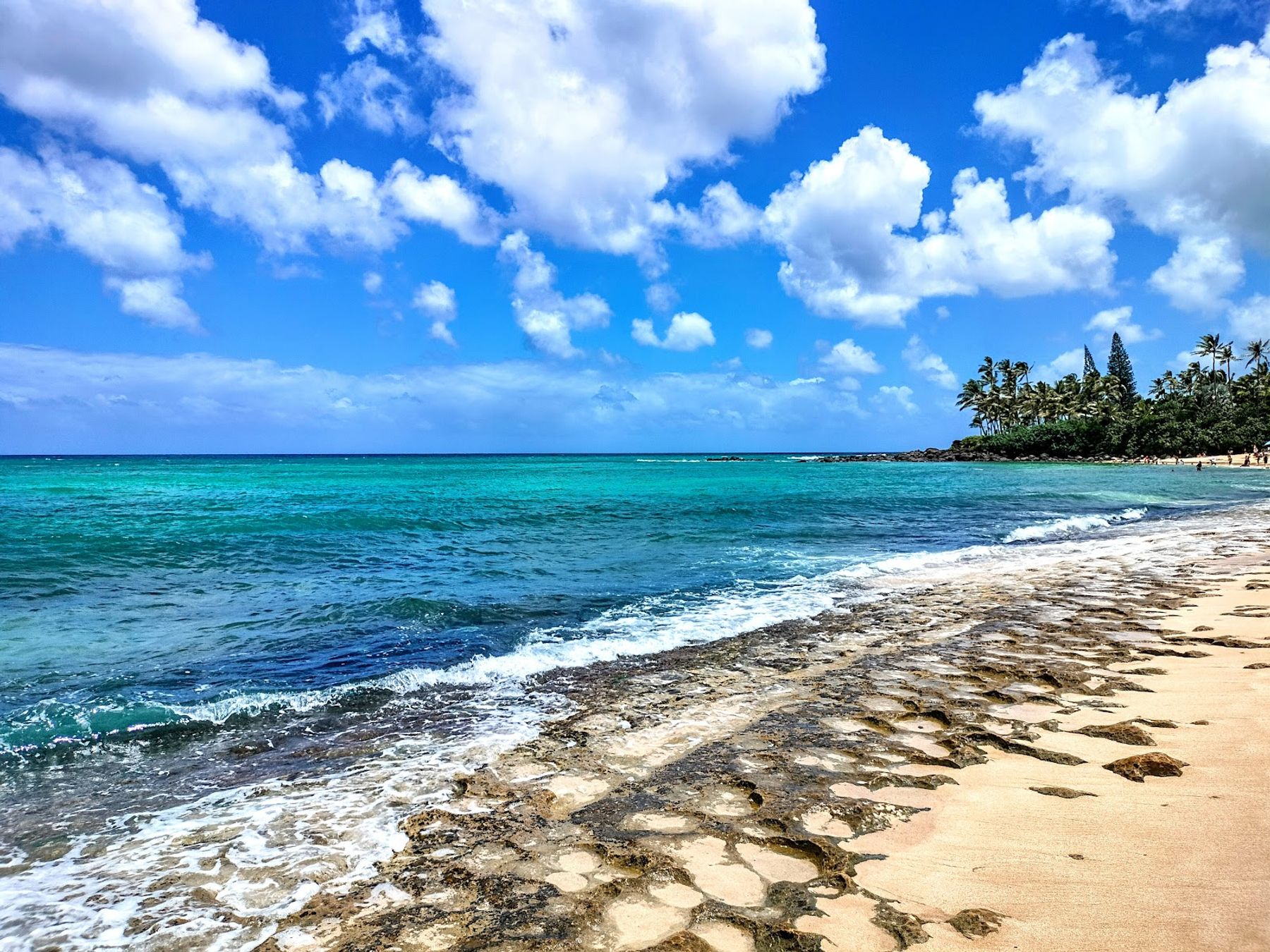 Photo 2 of Laniakea Beach in Haleʻiwa, Oahu