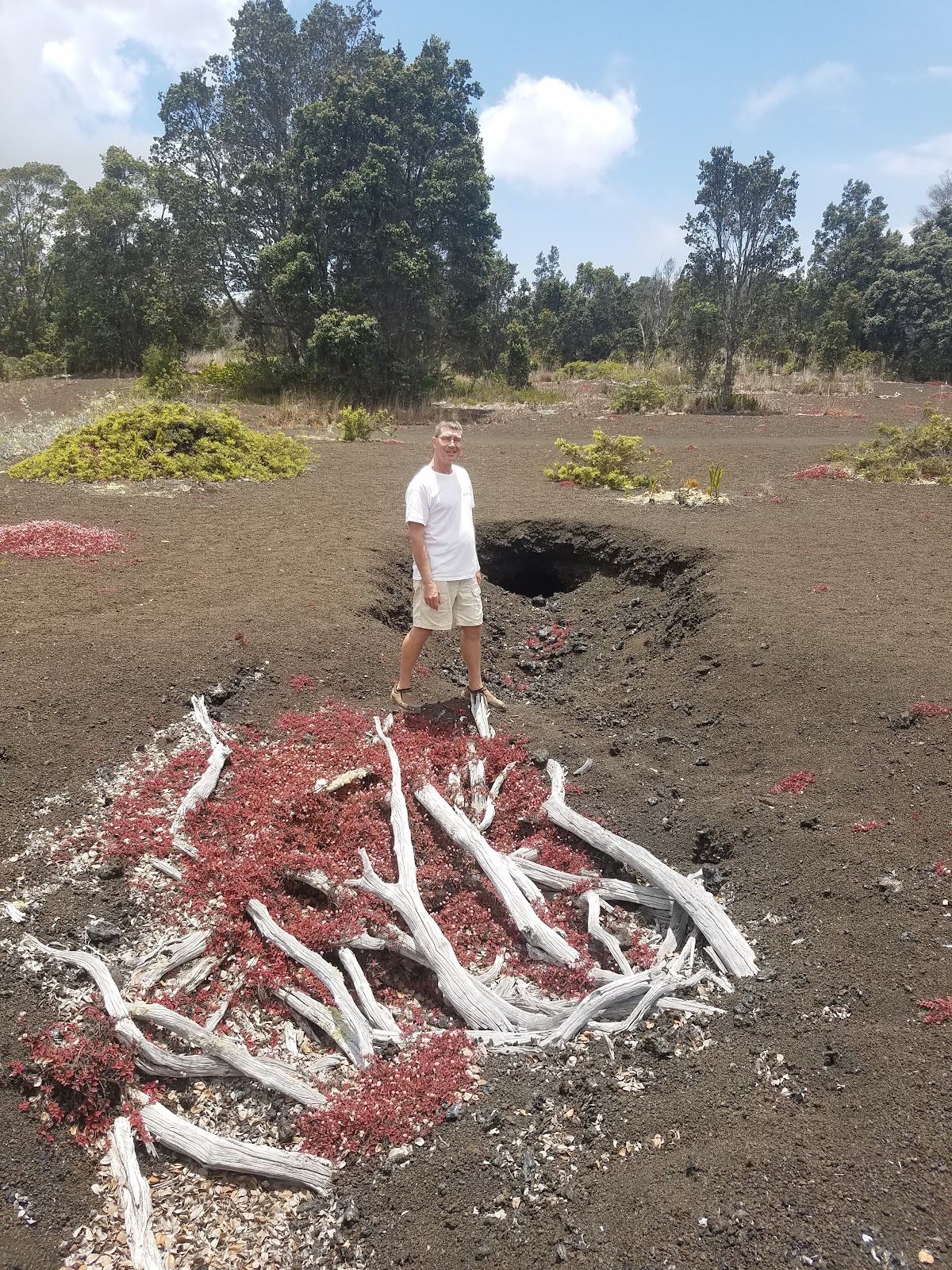 Photo 4 of Byron Ledge Trail in Volcano, Big Island