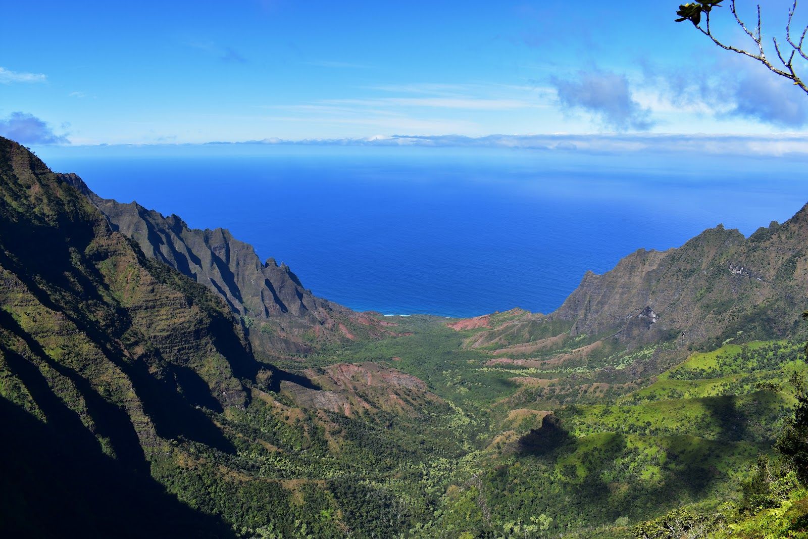 Pihea Trail in Hanapepe, Kaua‘i photo 8