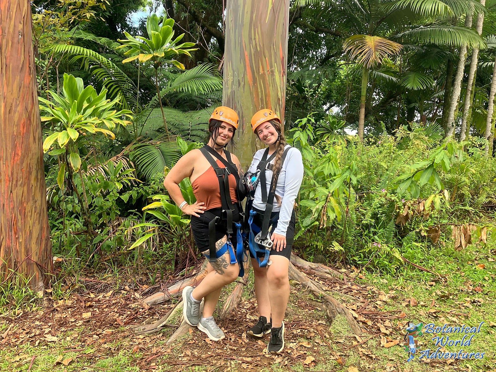 Photo 8 of Botanical World Adventures in Greater Hilo, Big Island