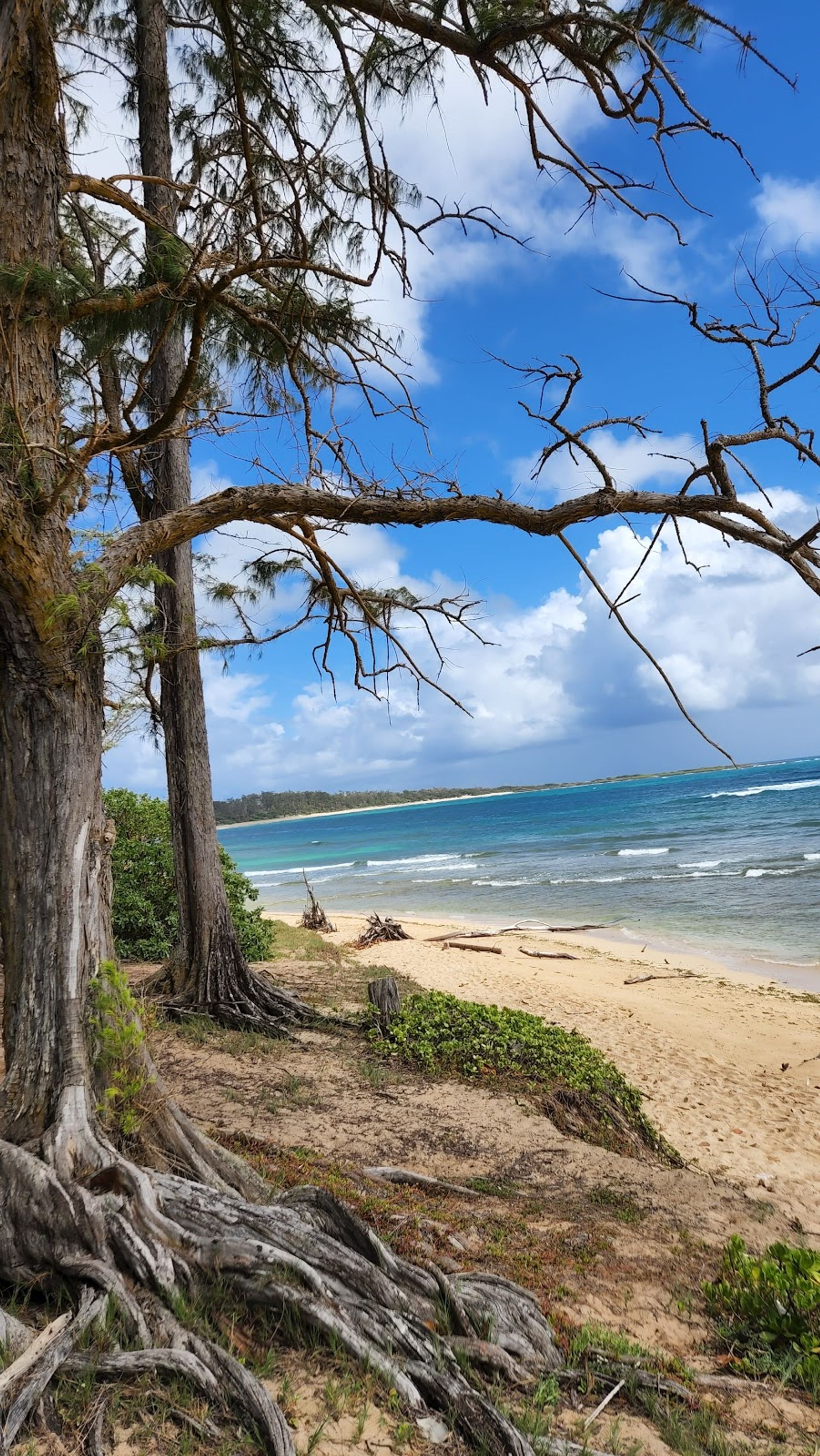 Photo 6 of Mālaekahana State Recreation Area in Lāʻie, Oahu