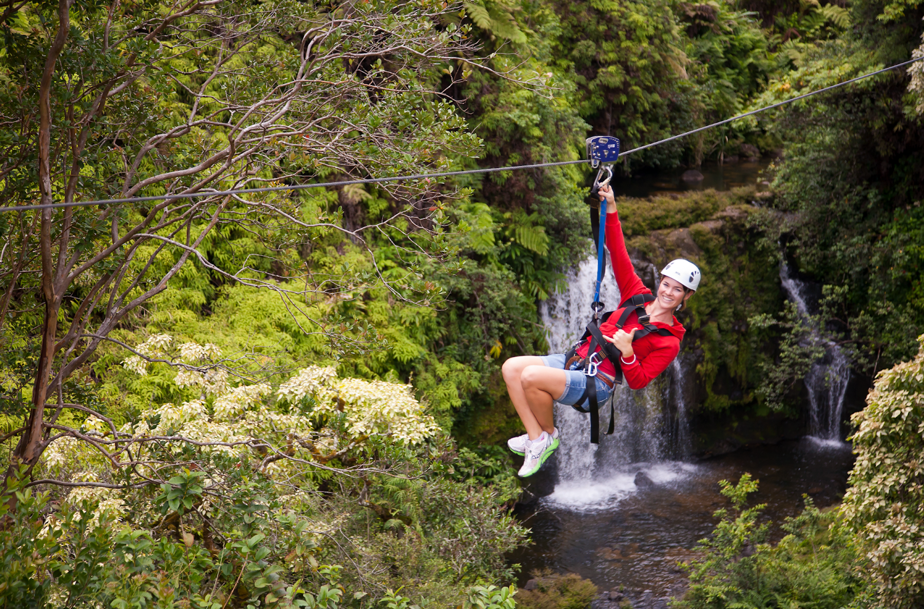 Photo 1 of Hawaii Zipline & Hiking Tours in Greater Hilo, Big Island