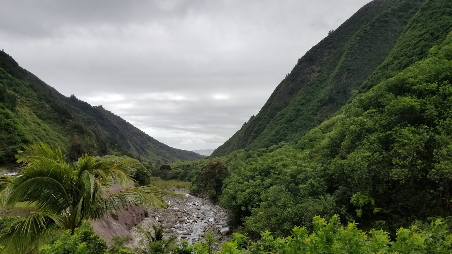 Photo 2 of ʻIao Needle Lookout Trail and Ethnobotanical Loop in Wailuku, Maui