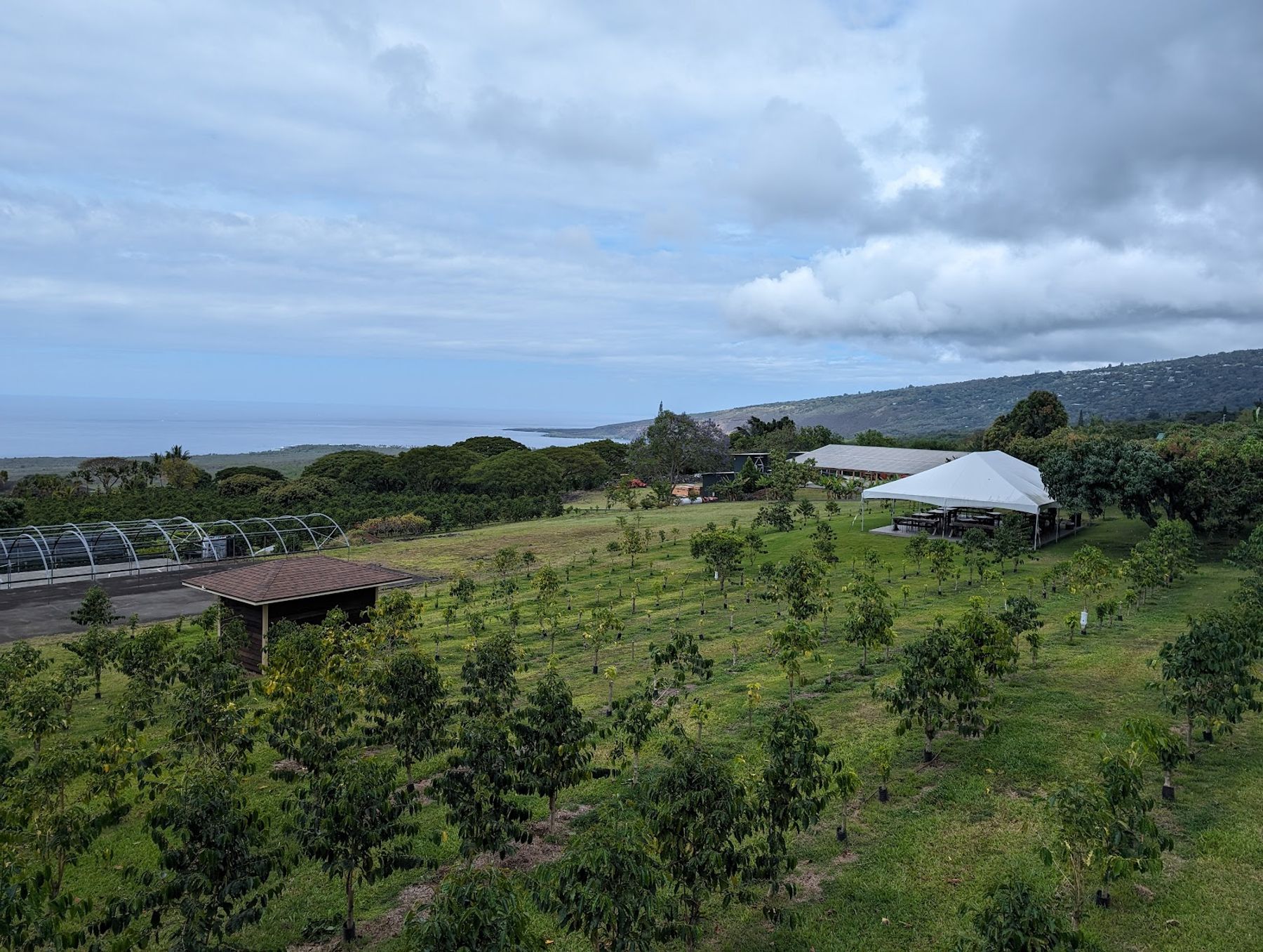 Photo 3 of Bay View Farm in South Kona, Big Island