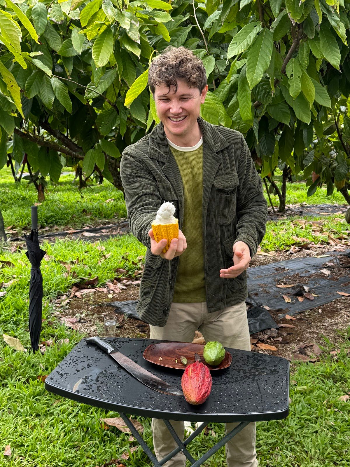 Photo 6 of Honolii Orchards in Greater Hilo, Big Island