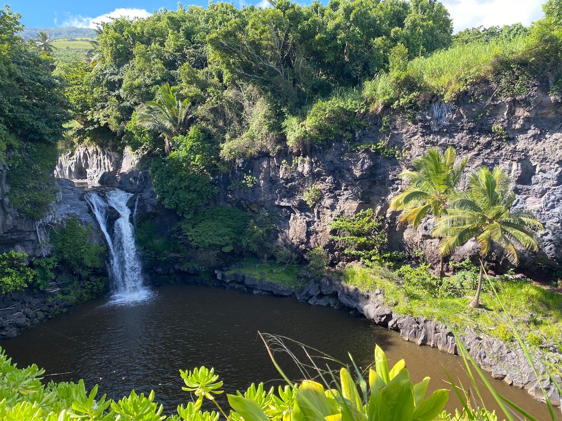 Photo 4 of Waimoku Falls in Kīpahulu & Kaupō, Maui