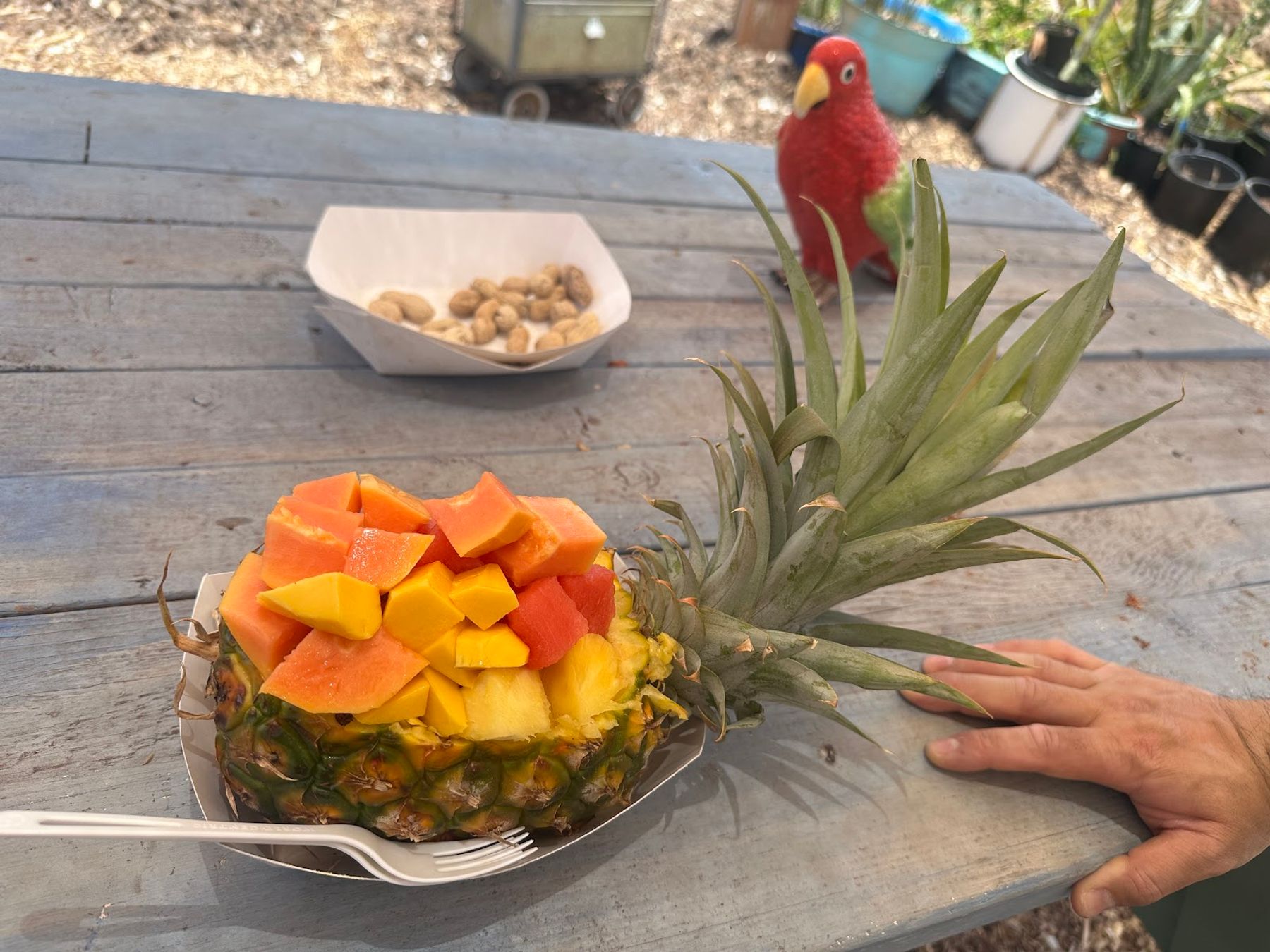 Photo 6 of Maui Fruit Truck in Lāhainā, Maui