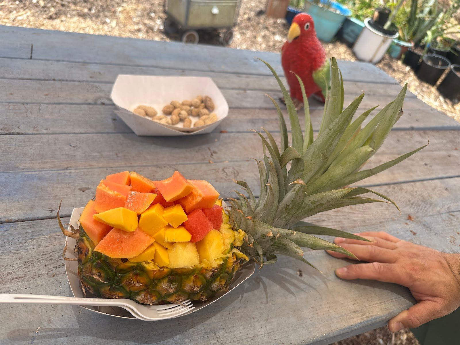 Photo 6 of Maui Fruit Truck in Lāhainā, Maui