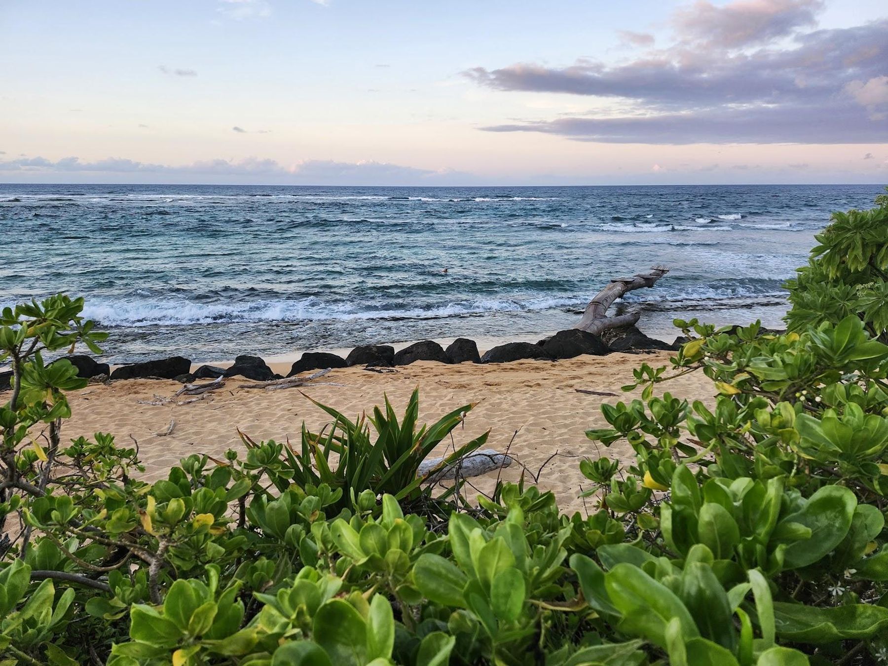 Opakapaka Grill and Bar restaurant in Hanalei, Kaua‘i photo 6