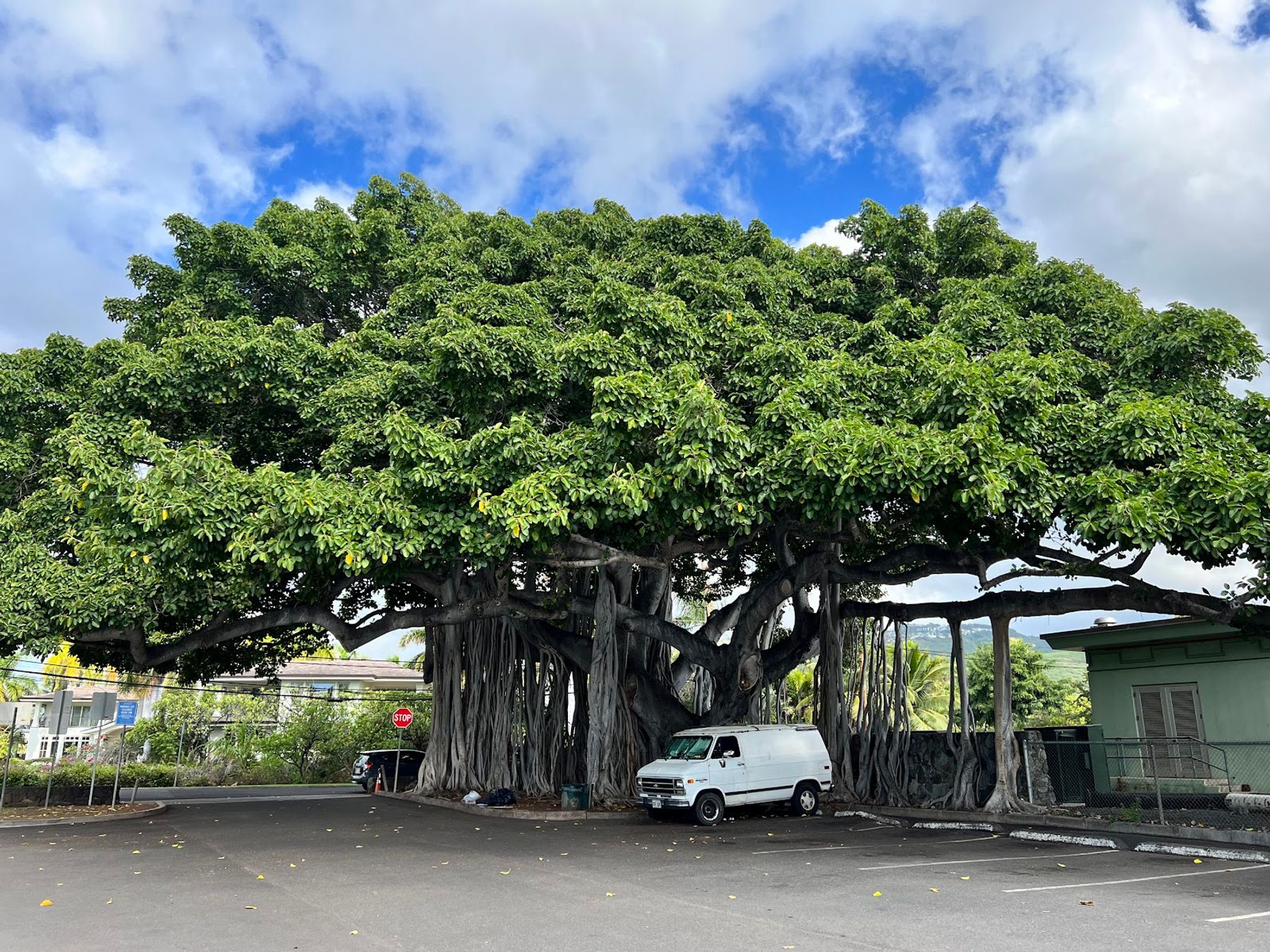 Photo 3 of Waiʻalae Beach Park in Kahala & Waialae, Oahu