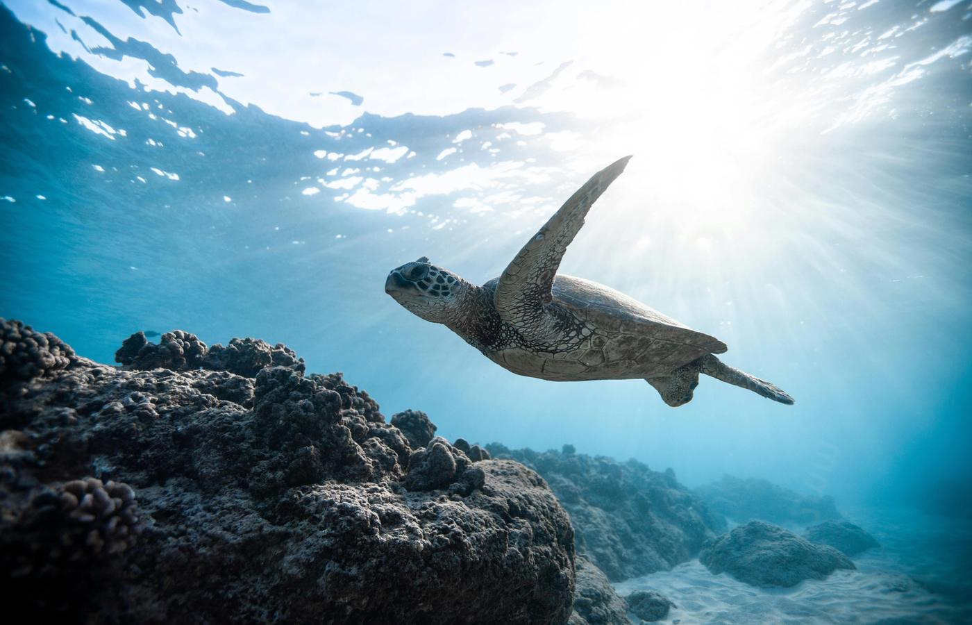 Po‘ipū: Lāwa‘i & Koloa Landing