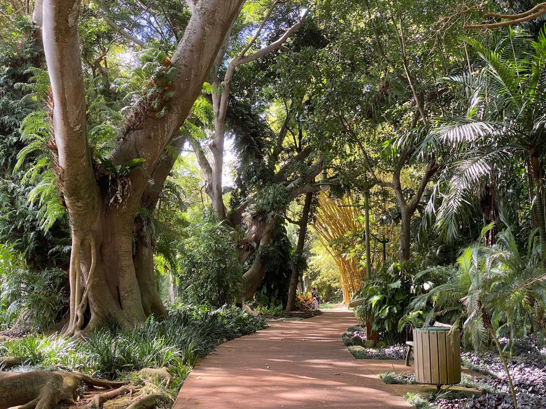 Photo 2 of Wahiawā Botanical Garden in Wahiawā, Oahu