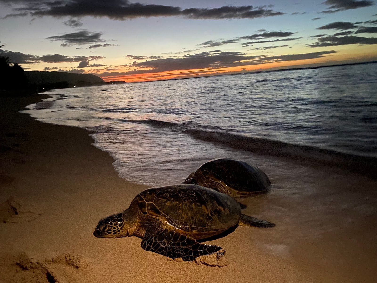 Photo 8 of ʻĀweoweo Beach Park in Waialua & Mokulēʻia, Oahu