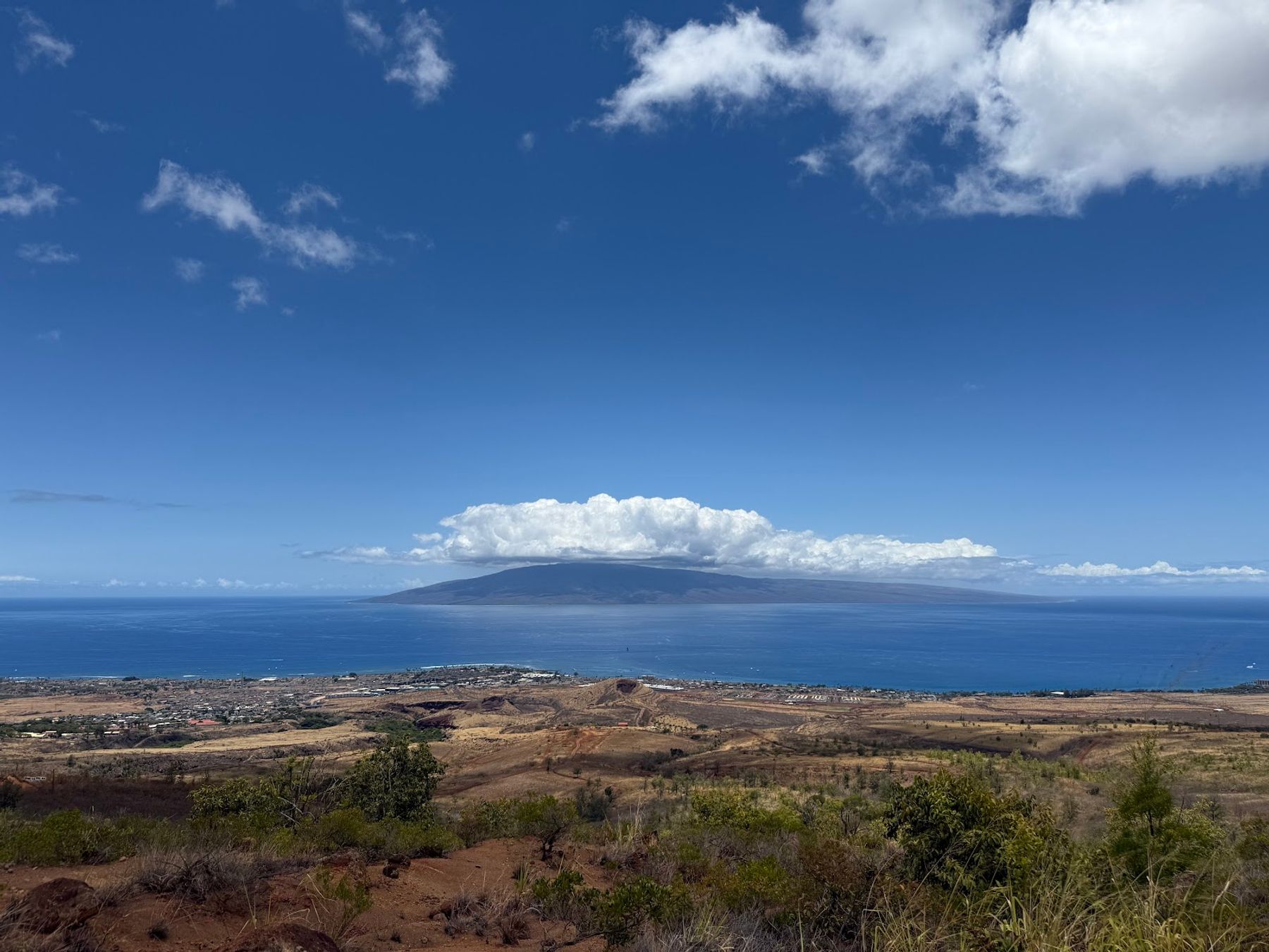 Photo 4 of Skyline Hawaii - Kaanapali Maui Zipline in Lāhainā, Maui