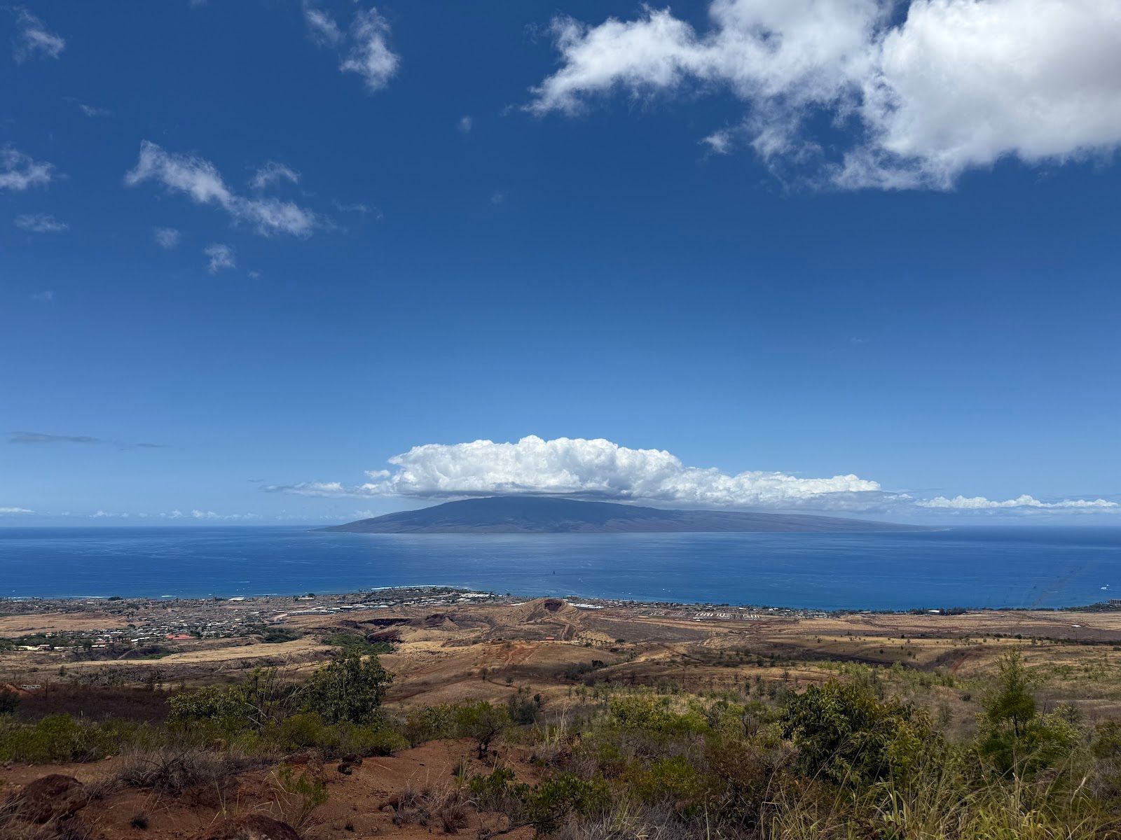 Photo 4 of Skyline Hawaii - Kaanapali Maui Zipline in Lāhainā, Maui